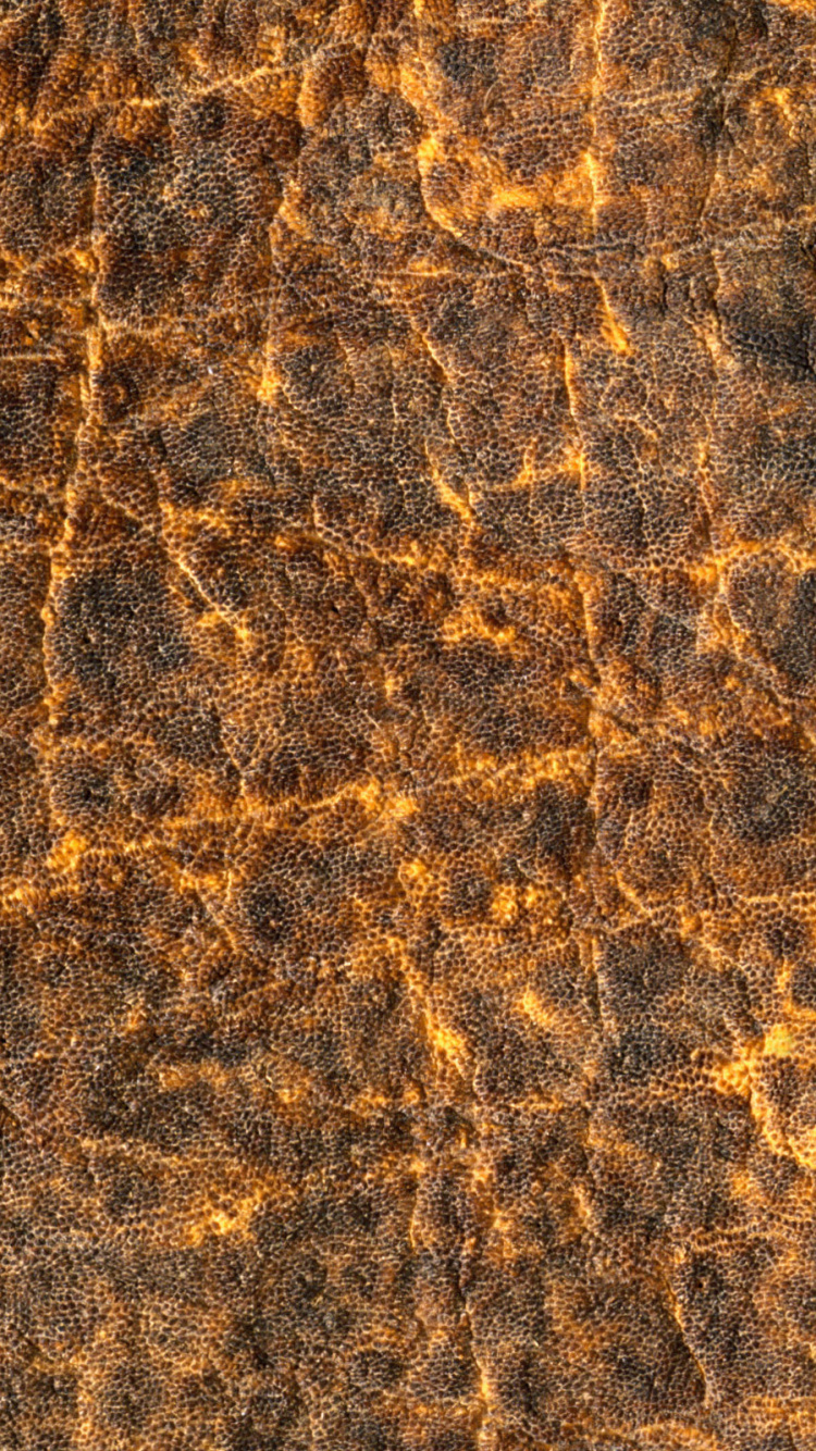 Braune Und Schwarze Abstrakte Malerei. Wallpaper in 750x1334 Resolution