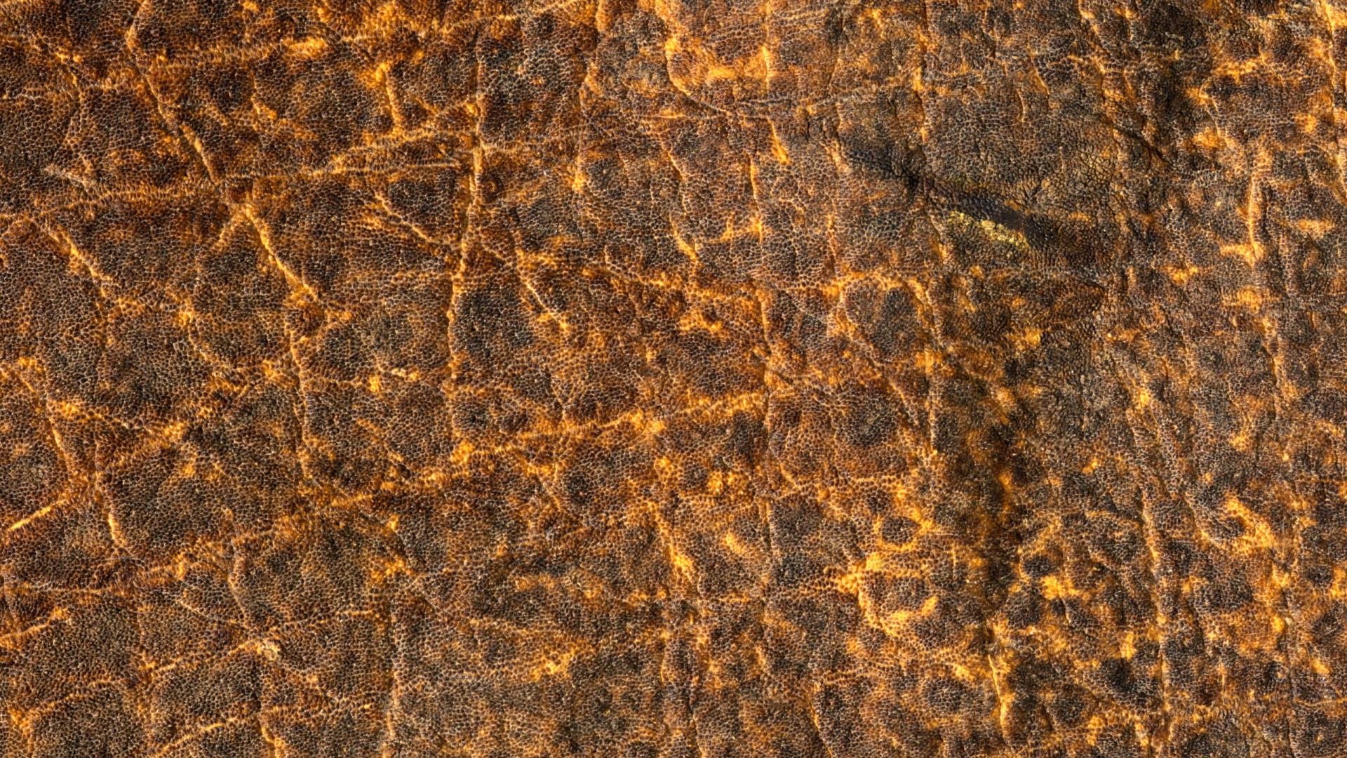 纹理, 棕色, 皮革, 枪筒, 草 壁纸 1920x1080 允许