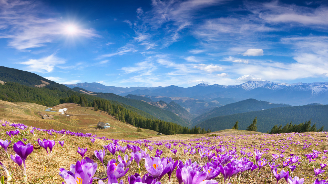 Download 1280x720 Wallpaper L'écorégion, Les Gens Dans la Nature, Nature, Azure, Blue L'écorégion, Les Gens Dans la Nature, Nature, Azure, Blue. Wallpaper in 1280x720 Resolution