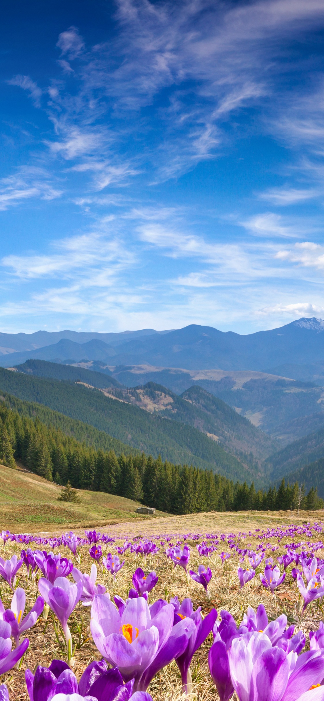 Montaña, Ecorregión, La Gente en la Naturaleza, Naturaleza, Azure. Wallpaper in 1125x2436 Resolution