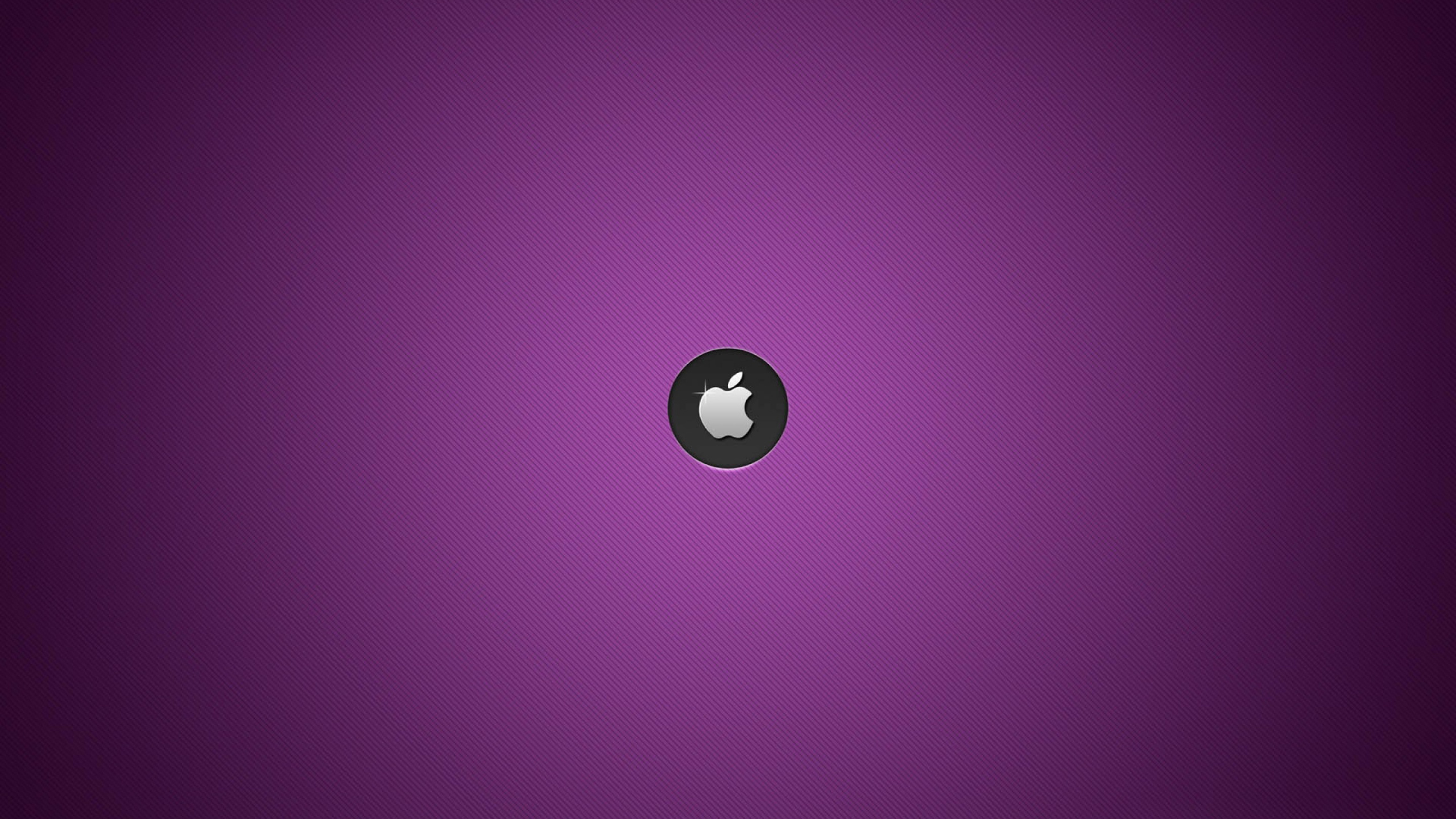 Violet, Purple, Circle, Magenta, Graphics. Wallpaper in 2560x1440 Resolution