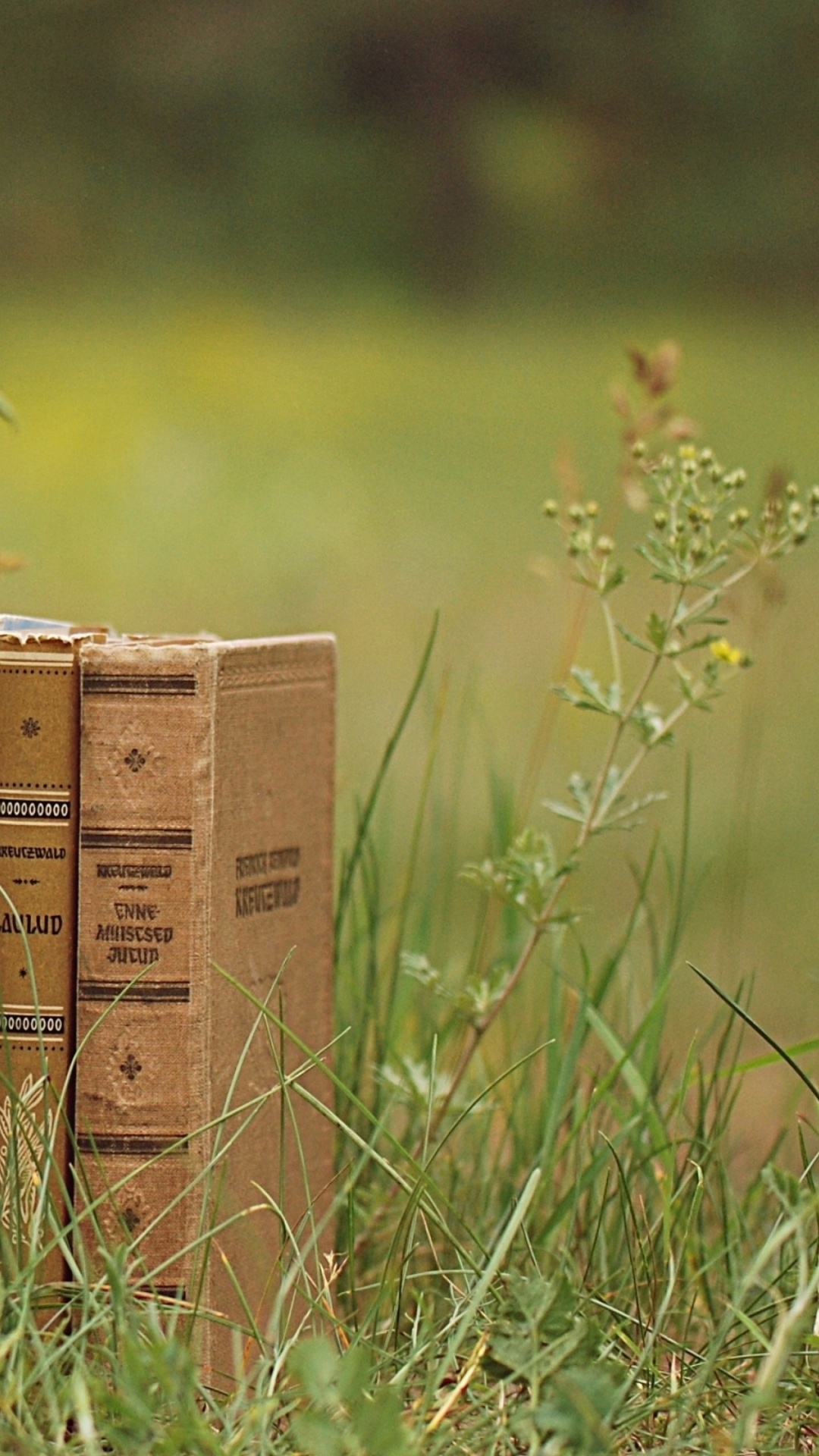 Brown Book on Green Grass During Daytime. Wallpaper in 1080x1920 Resolution