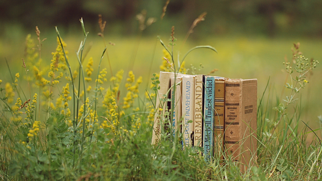 Brown Book on Green Grass During Daytime. Wallpaper in 1280x720 Resolution