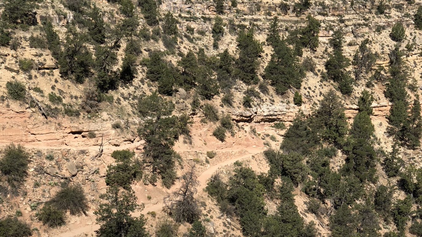 Grand Canyon National Park, Adaptation, Bedrock, Terrestrial Animal, Geology. Wallpaper in 1366x768 Resolution