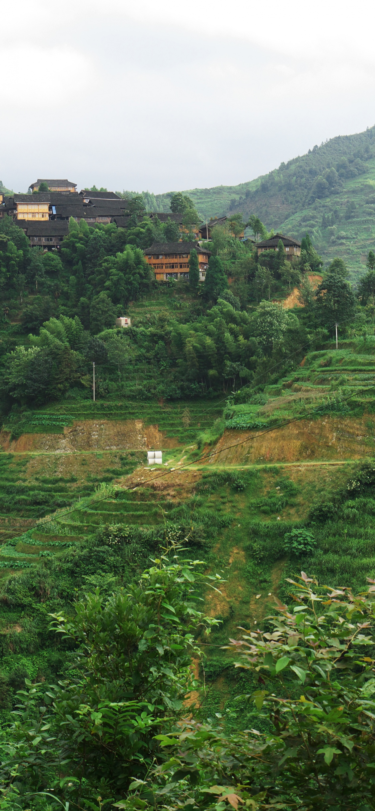 Green Trees on Mountain During Daytime. Wallpaper in 1242x2688 Resolution