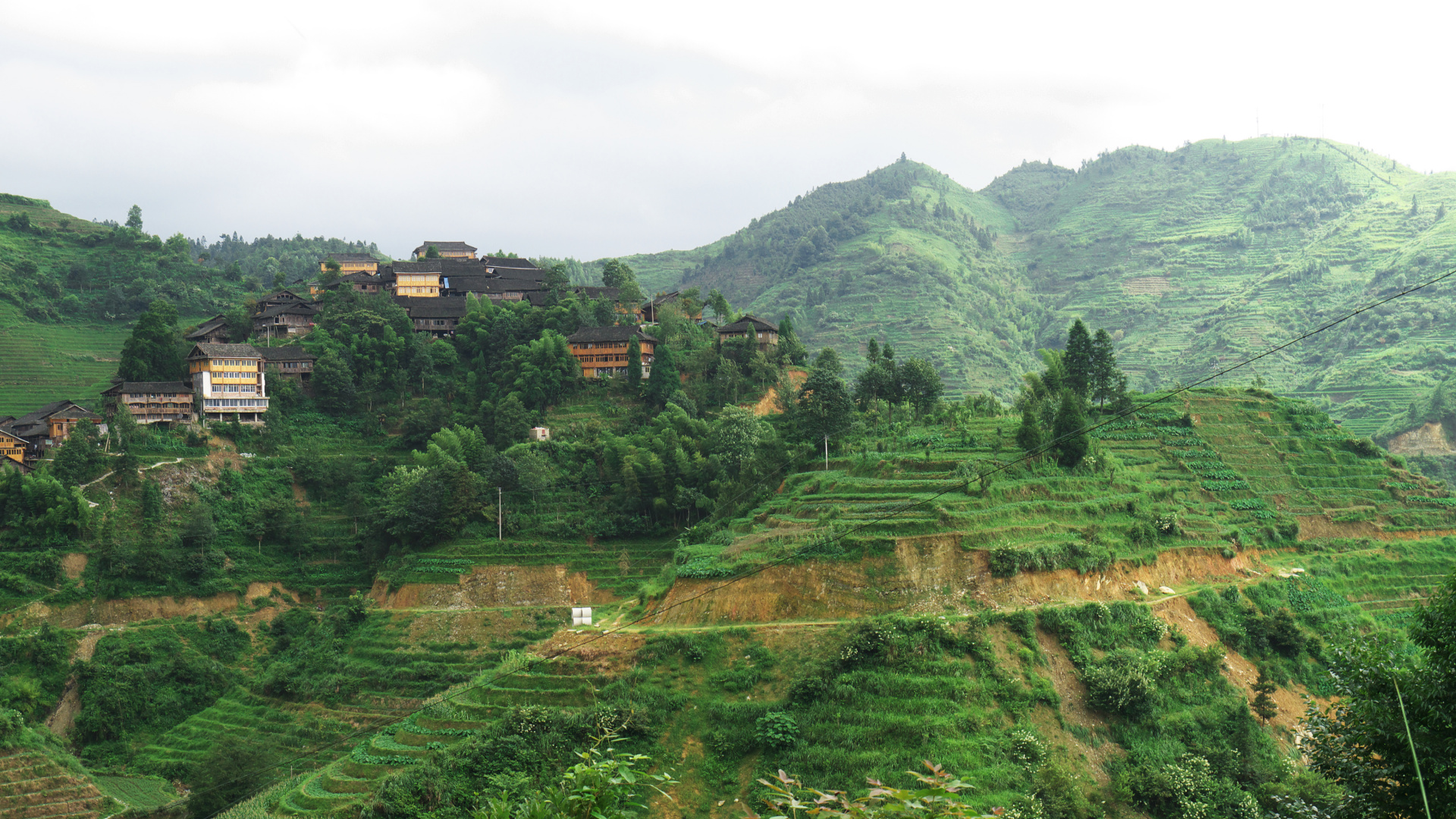 Green Trees on Mountain During Daytime. Wallpaper in 1920x1080 Resolution