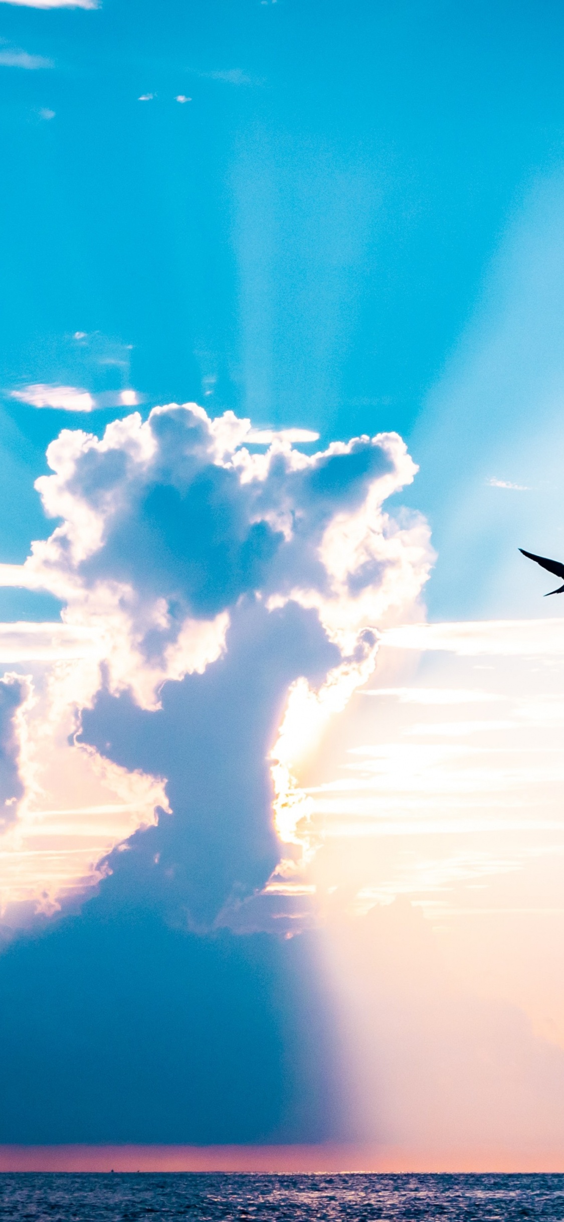 Cloud, Atmosphere, Daytime, Afterglow, Bird. Wallpaper in 1125x2436 Resolution