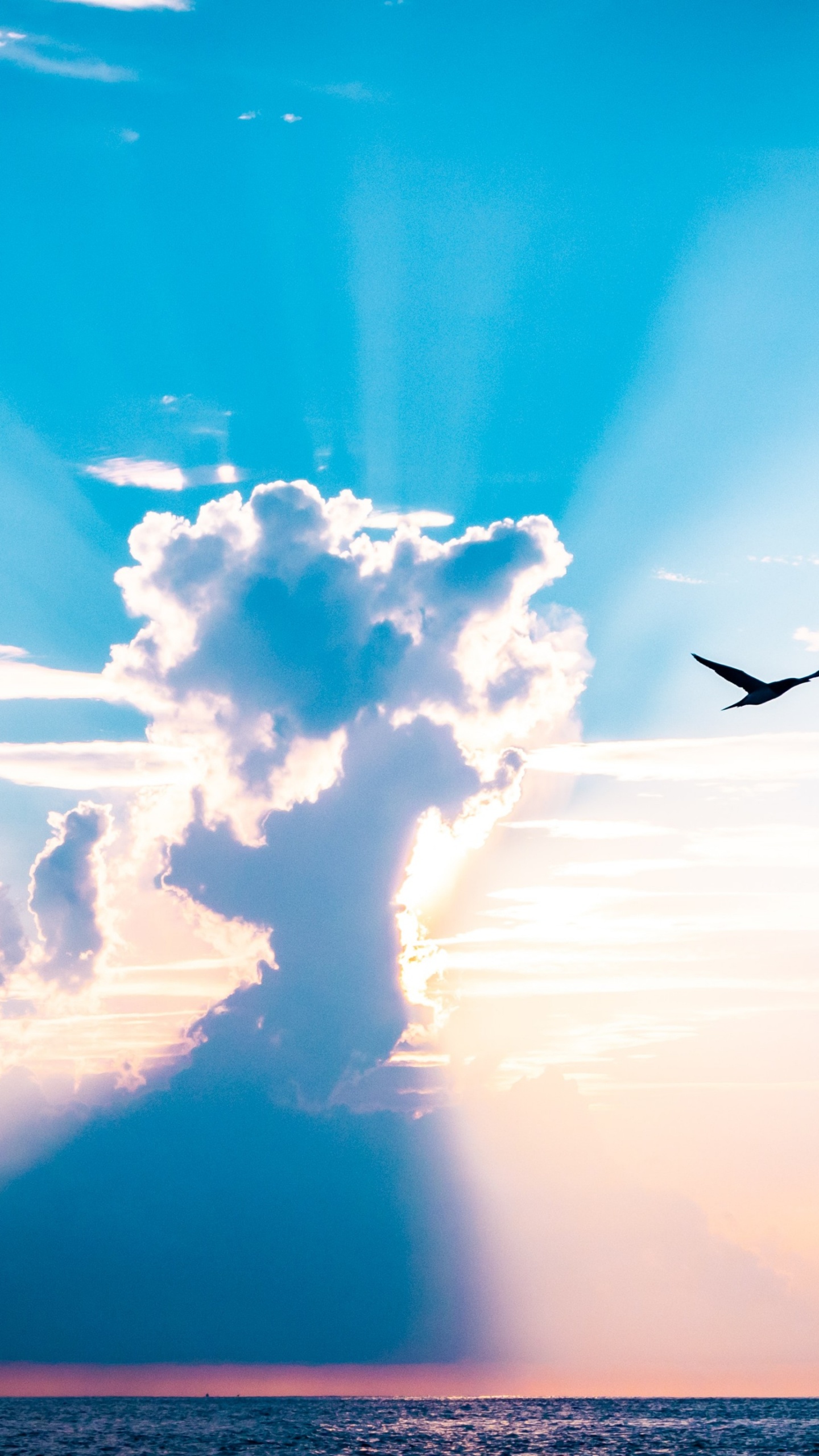 Cloud, Atmosphere, Daytime, Afterglow, Bird. Wallpaper in 1440x2560 Resolution