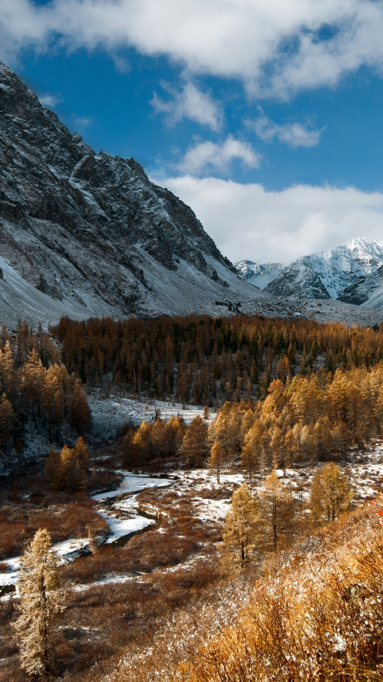 Árboles Marrones y Verdes Cerca de la Montaña Bajo un Cielo Azul Durante el Día. Wallpaper in 750x1334 Resolution