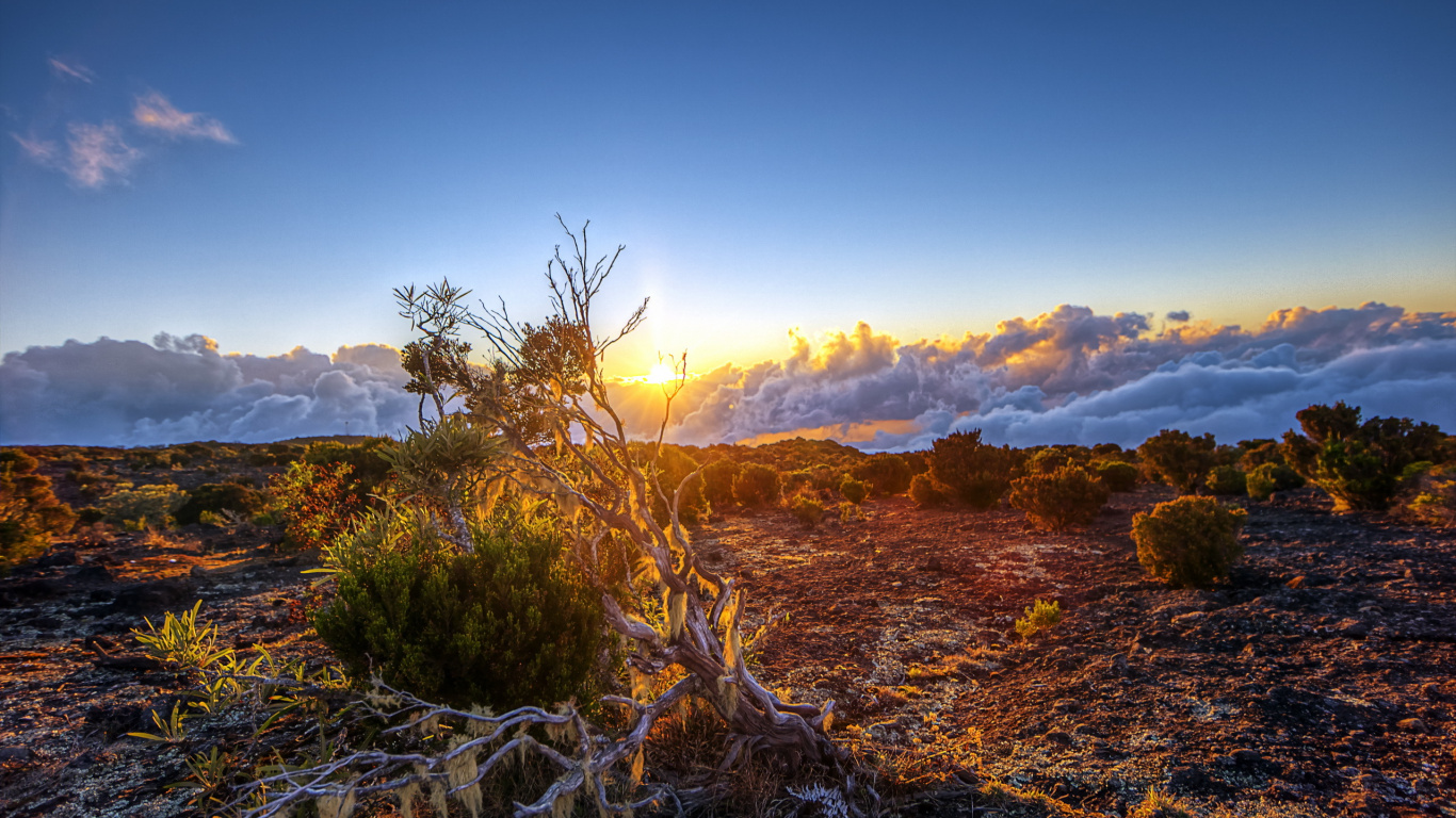 Herbe Verte Sur la Montagne Brune Pendant la Journée. Wallpaper in 1366x768 Resolution