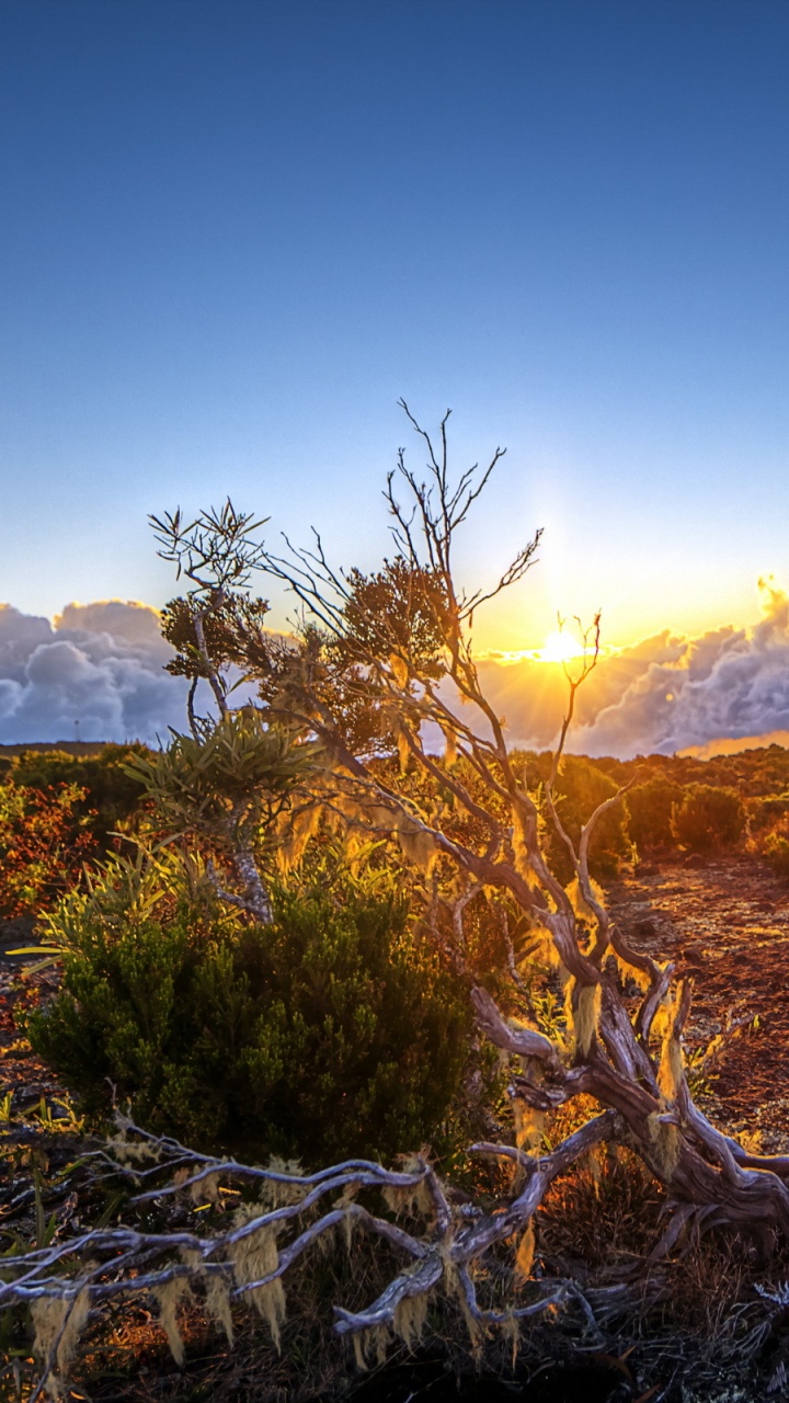 Green Grass on Brown Mountain During Daytime. Wallpaper in 720x1280 Resolution