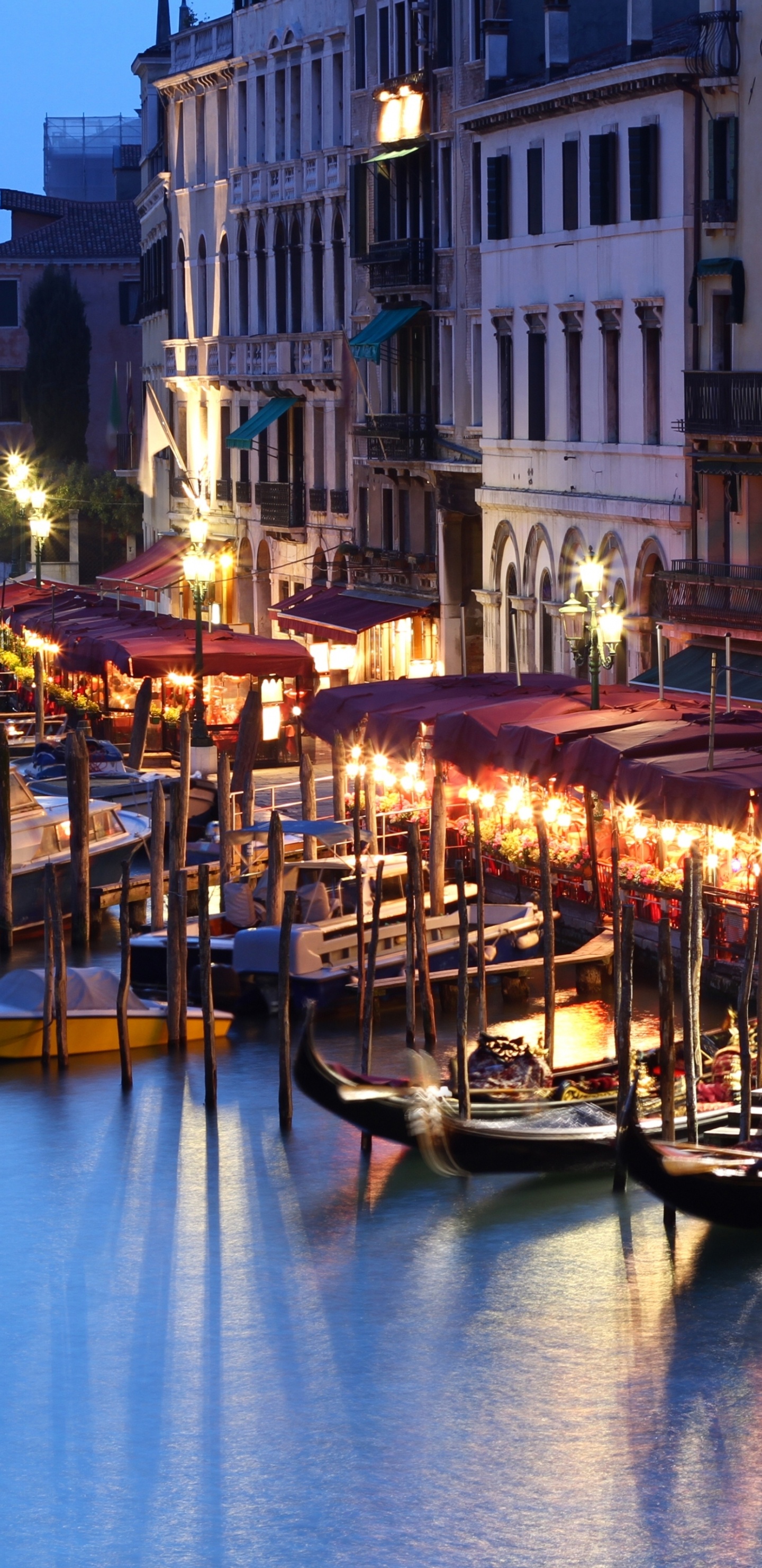 People Riding on Boat on River Near Buildings During Night Time. Wallpaper in 1440x2960 Resolution