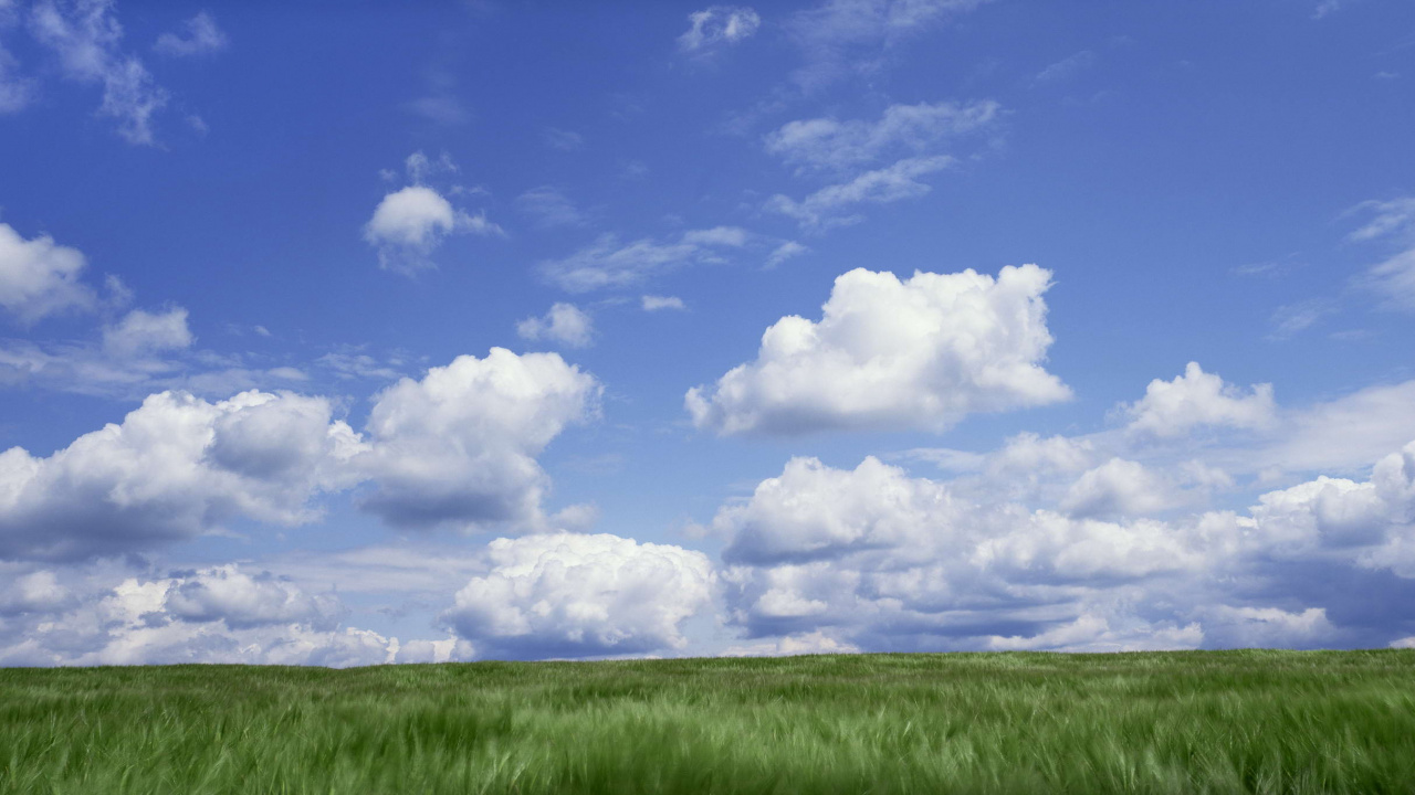 Champ D'herbe Verte Sous Ciel Bleu et Nuages Blancs Pendant la Journée. Wallpaper in 1280x720 Resolution