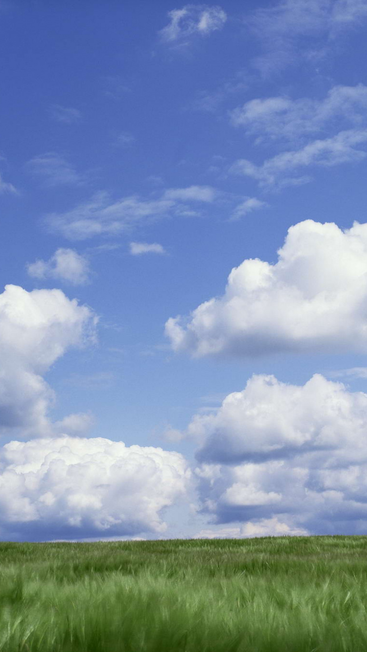 Champ D'herbe Verte Sous Ciel Bleu et Nuages Blancs Pendant la Journée. Wallpaper in 750x1334 Resolution