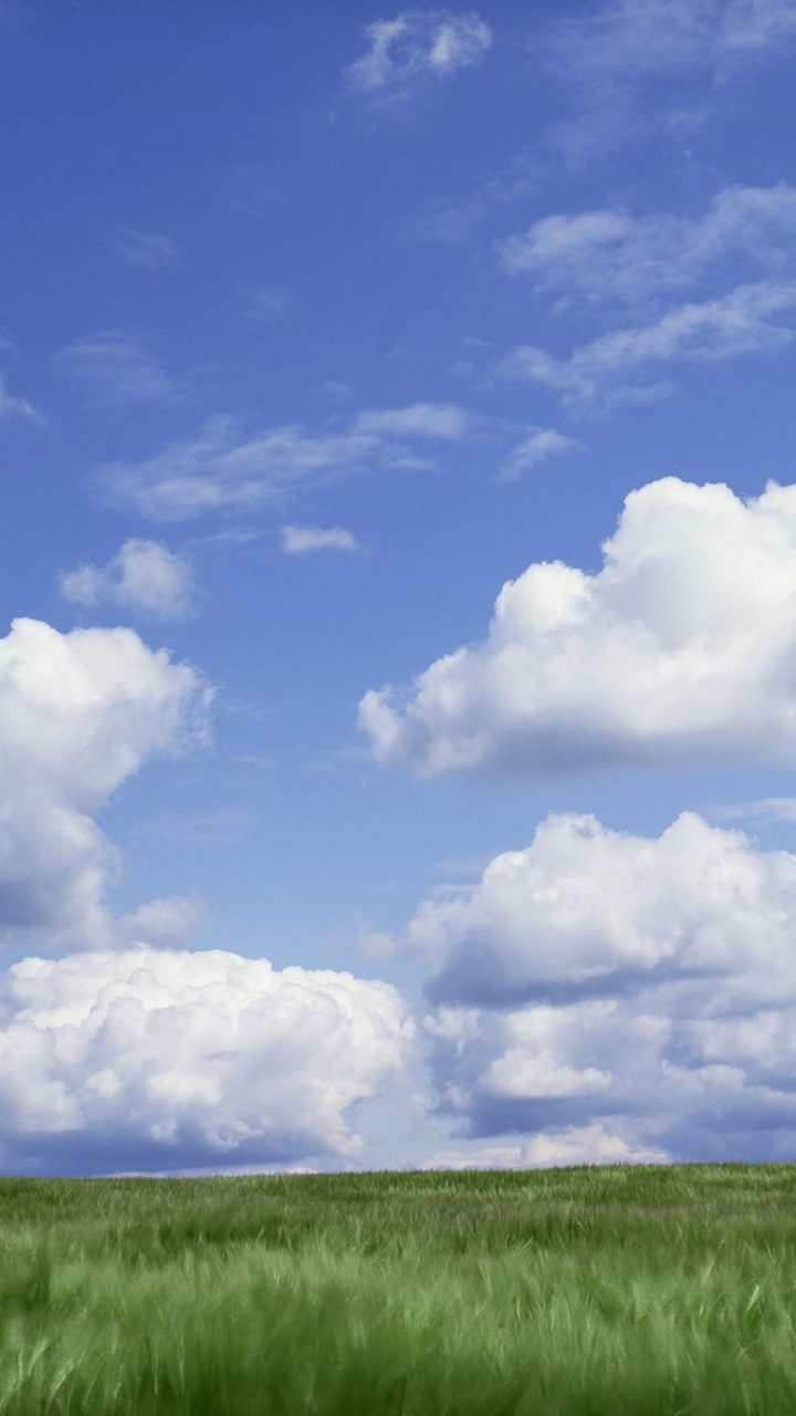 Green Grass Field Under Blue Sky and White Clouds During Daytime. Wallpaper in 720x1280 Resolution