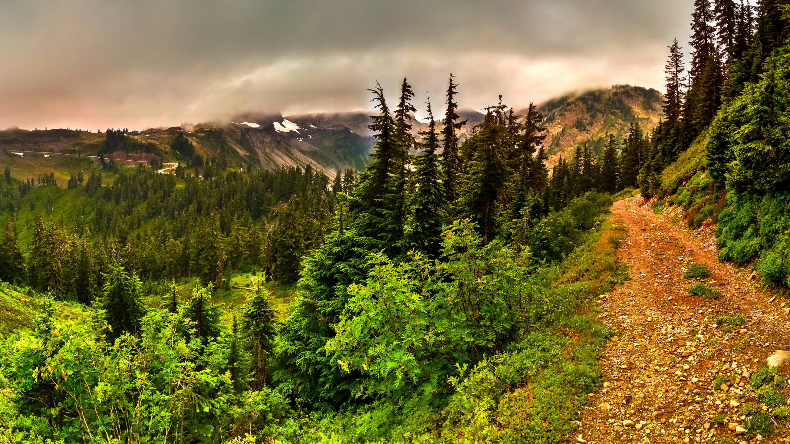 Pinos Verdes en la Montaña Bajo el Cielo Nublado Durante el Día. Wallpaper in 2560x1440 Resolution