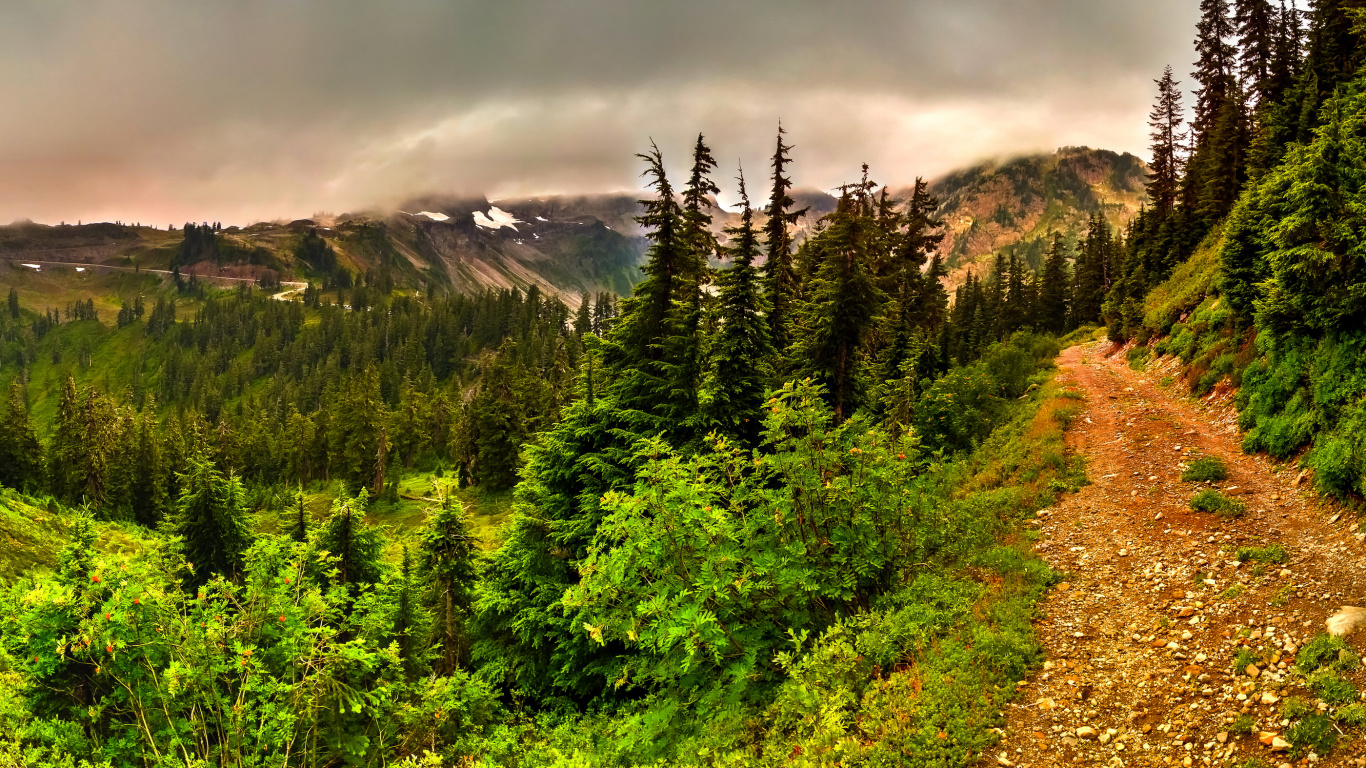 性质, 荒野, 植被, 多山的地貌, 生态系统 壁纸 1366x768 允许