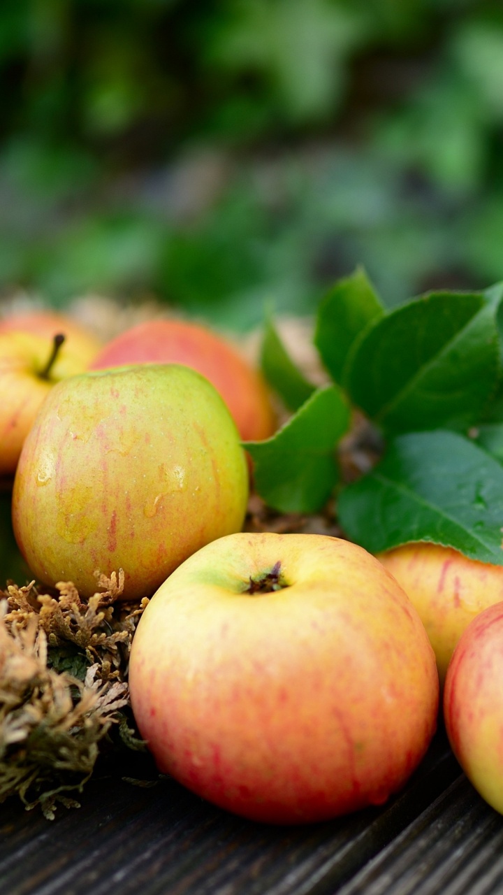 Lenovo Chromebook S345, Food, Natural Foods, Fruit, Plant. Wallpaper in 720x1280 Resolution