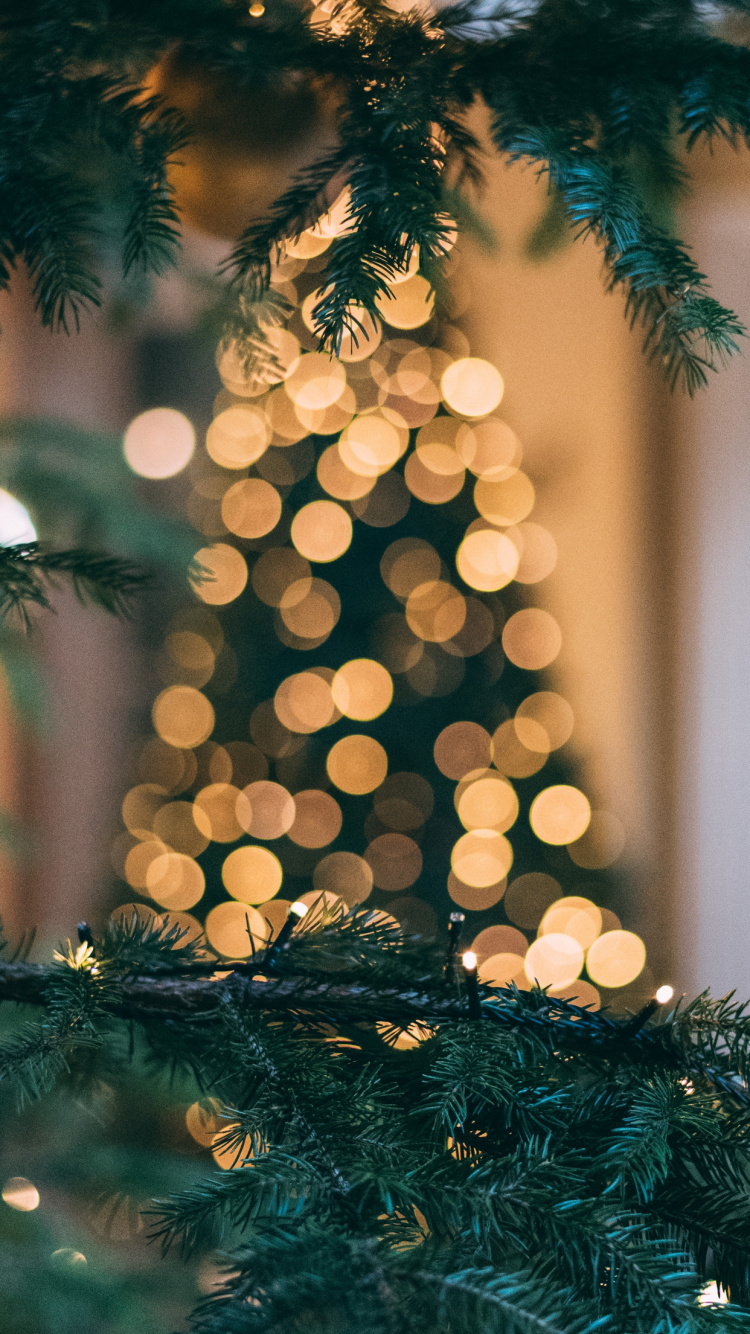 Tablet, Ios, Christmas Day, Apples, Christmas Tree. Wallpaper in 750x1334 Resolution