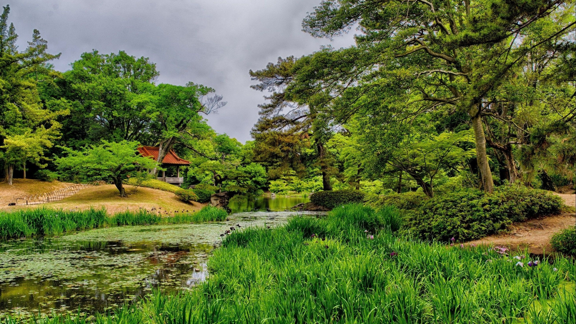 Green Trees Near River Under Cloudy Sky During Daytime. Wallpaper in 1920x1080 Resolution