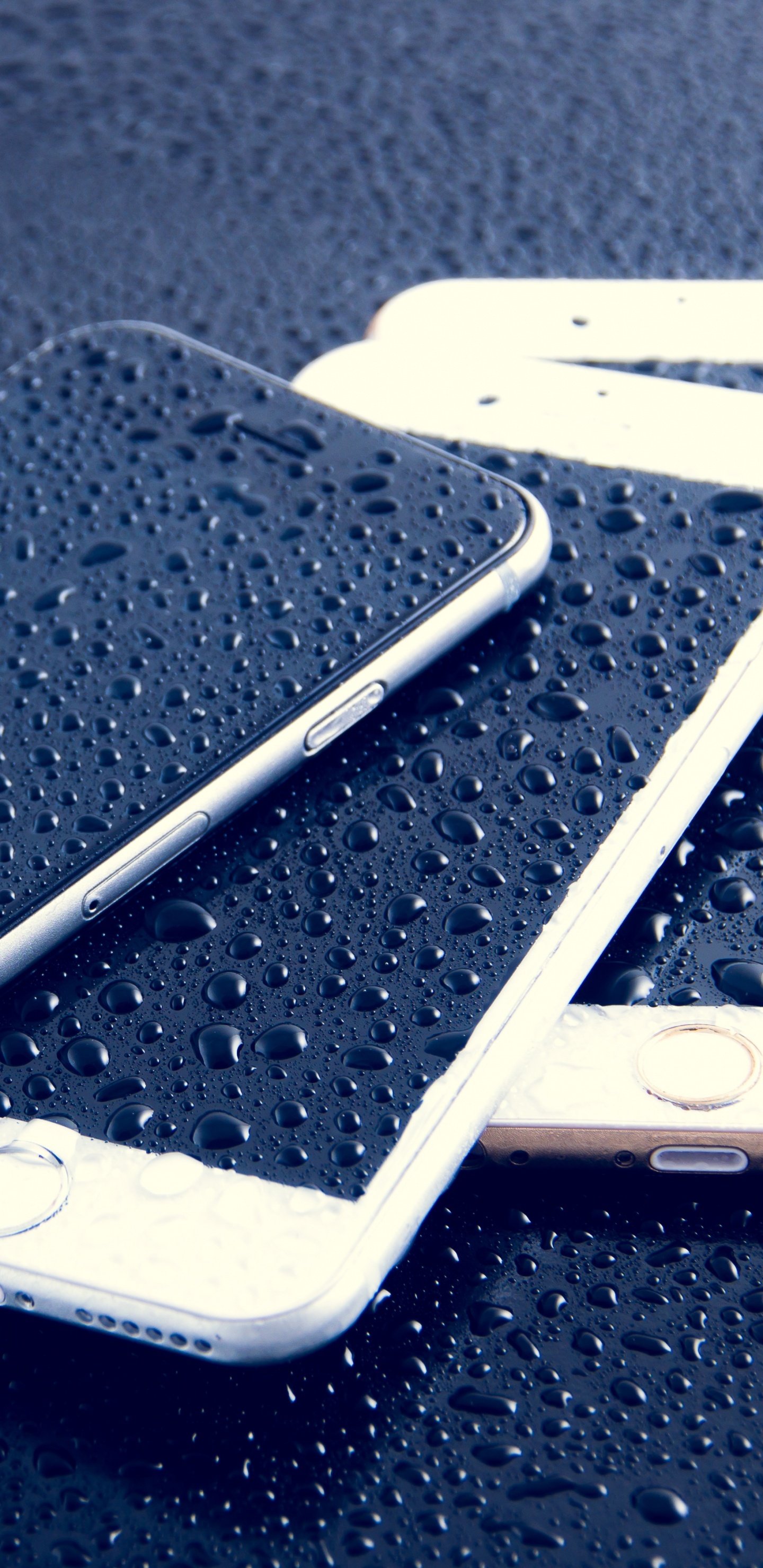 Silver Iphone 6 on Black Surface. Wallpaper in 1440x2960 Resolution