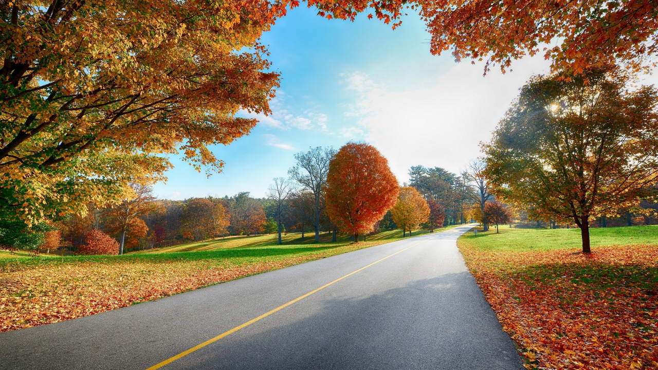 Gray Asphalt Road Between Green Grass Field Under Blue and White Sunny Cloudy Sky During Daytime. Wallpaper in 1280x720 Resolution