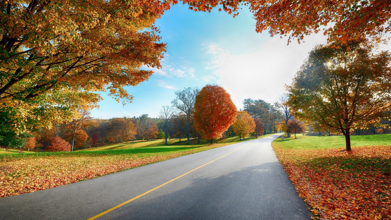 Gray Asphalt Road Between Green Grass Field Under Blue and White Sunny Cloudy Sky During Daytime. Wallpaper in 1366x768 Resolution