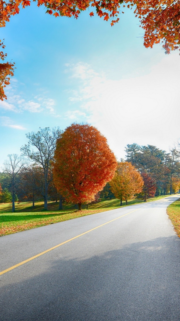 Gray Asphalt Road Between Green Grass Field Under Blue and White Sunny Cloudy Sky During Daytime. Wallpaper in 750x1334 Resolution