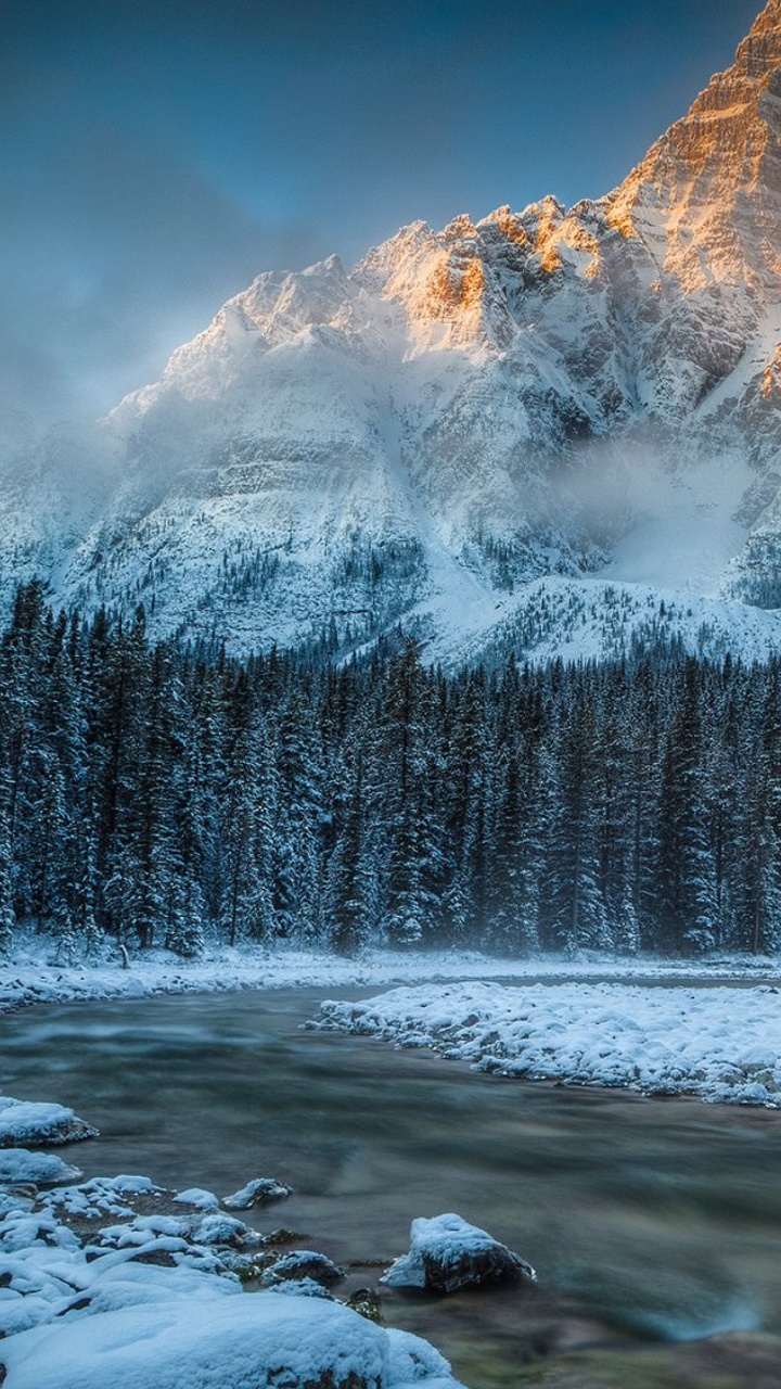 自然景观, 性质, 冬天, 冻结, 荒野 壁纸 720x1280 允许