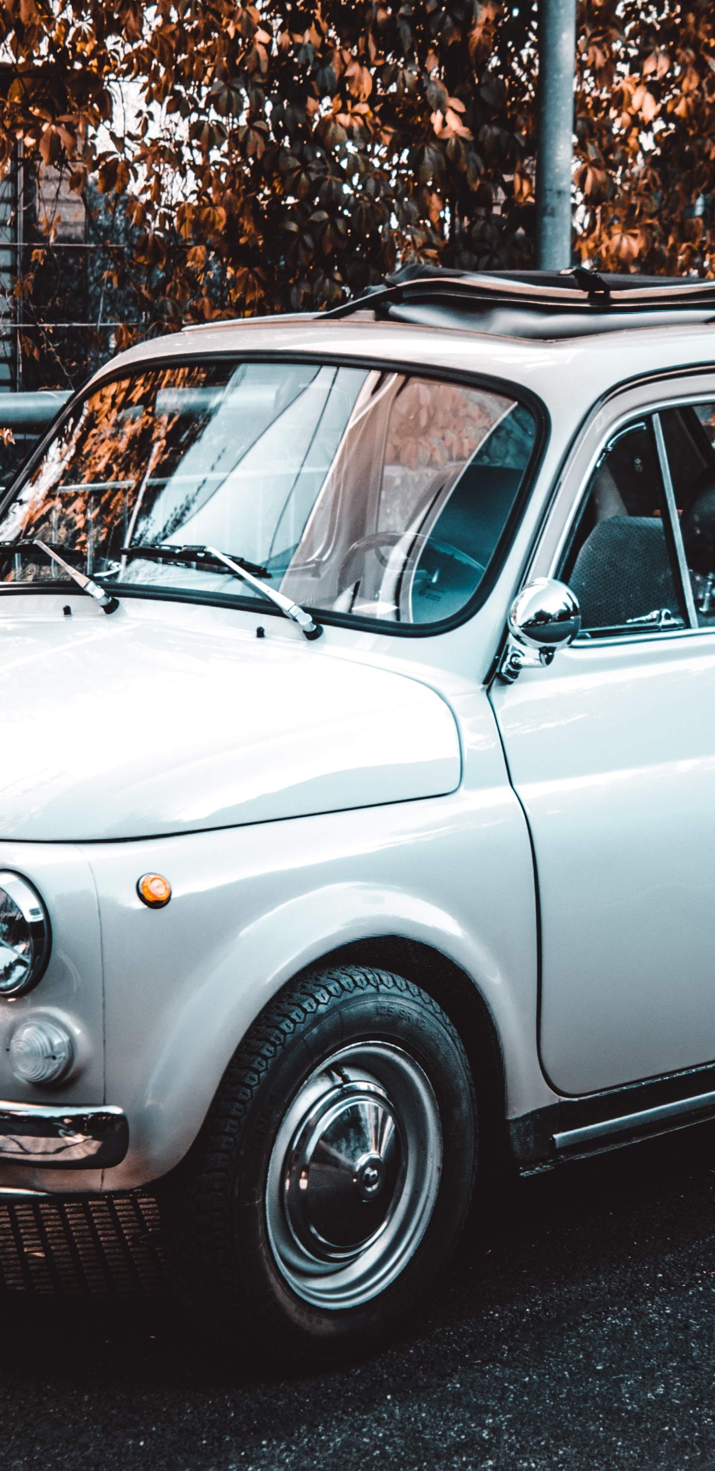 Voiture Classique Blanche Garée Sur le Bord de la Route. Wallpaper in 1440x2960 Resolution