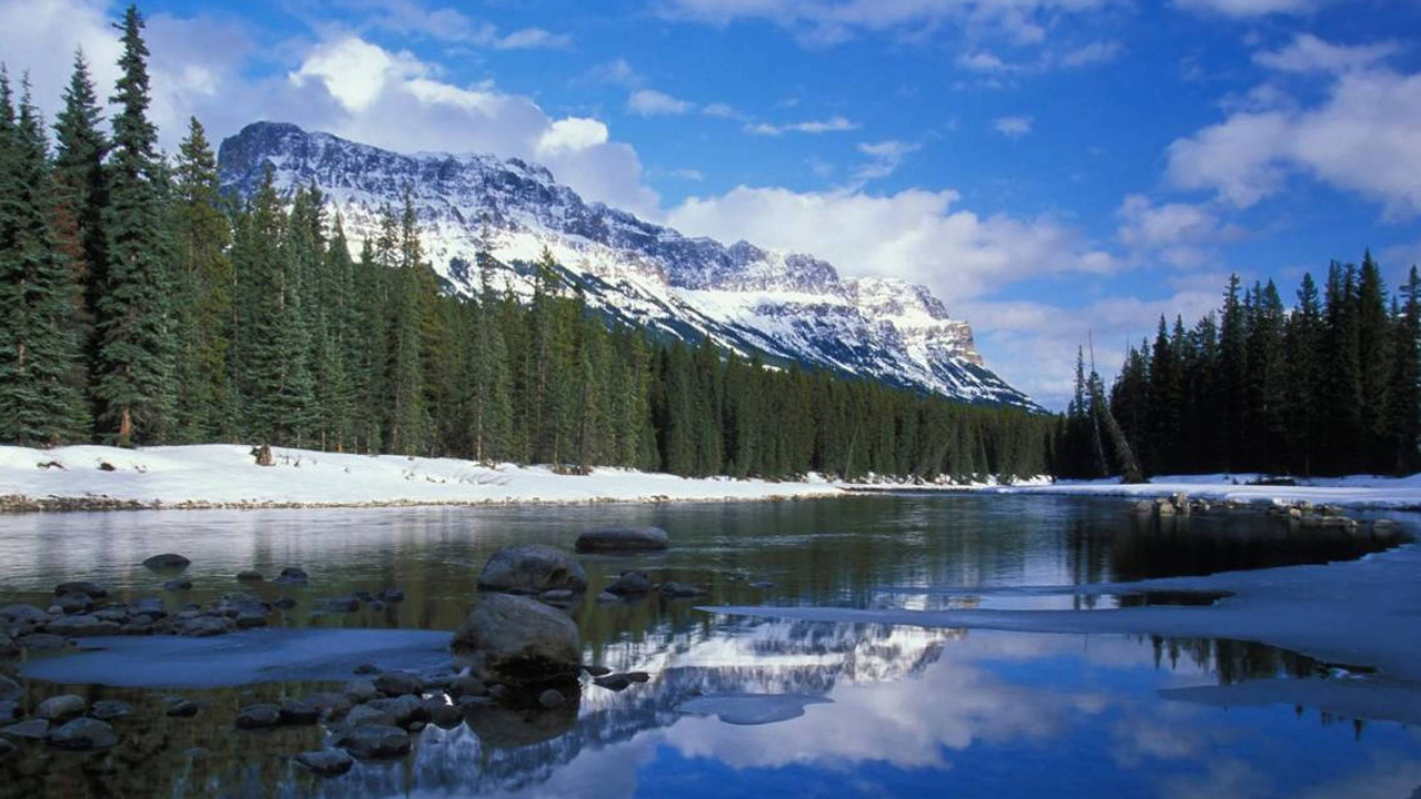 Green Pine Trees Near Snow Covered Mountain During Daytime. Wallpaper in 1280x720 Resolution