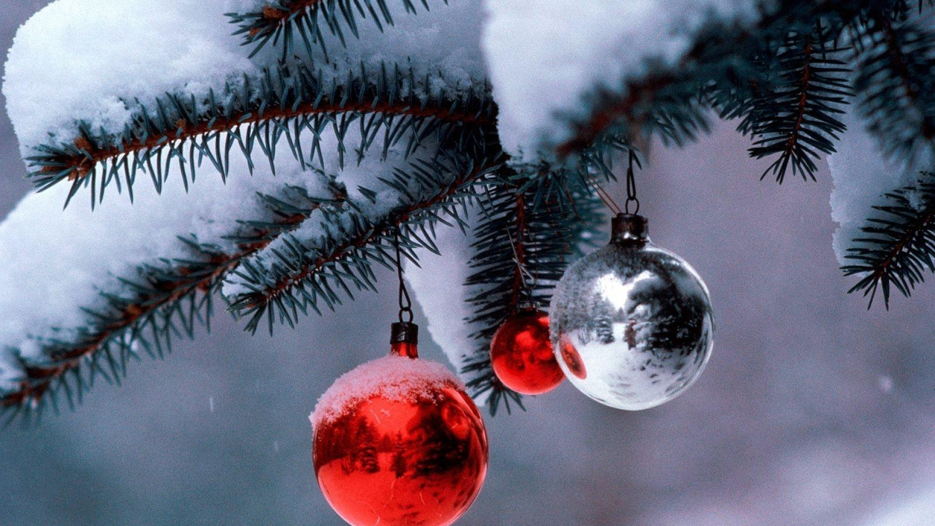 Weihnachtsbaum, Weihnachtsdekoration, Fichte, Fir, Partei. Wallpaper in 1920x1080 Resolution