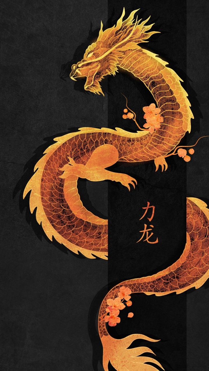 联赛的传奇, 艺术, 符号, 神秘的生物, 龙 壁纸 720x1280 允许