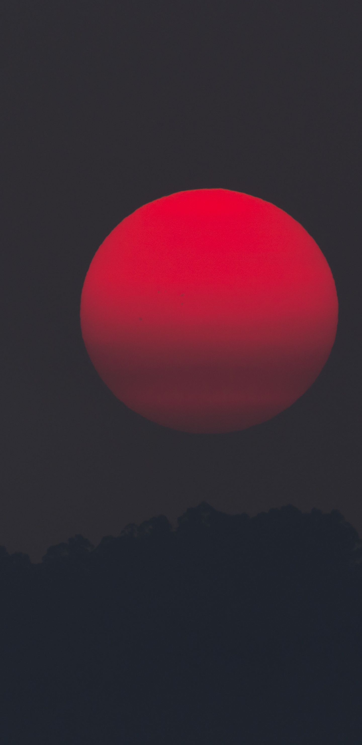 Pink Ball on Black Background. Wallpaper in 1440x2960 Resolution