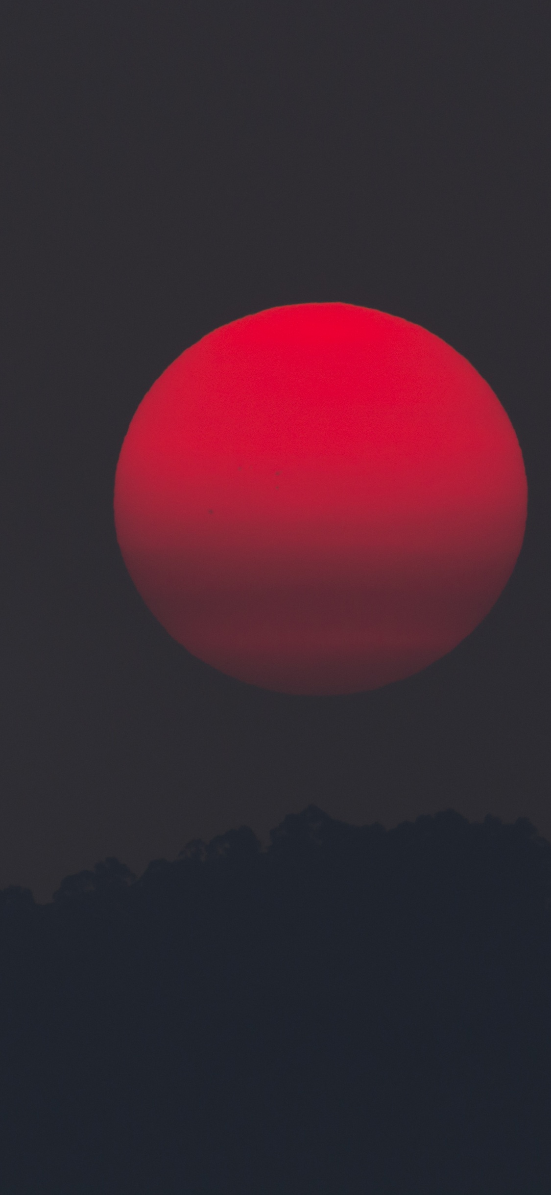 Boule Rose Sur Fond Noir. Wallpaper in 1125x2436 Resolution