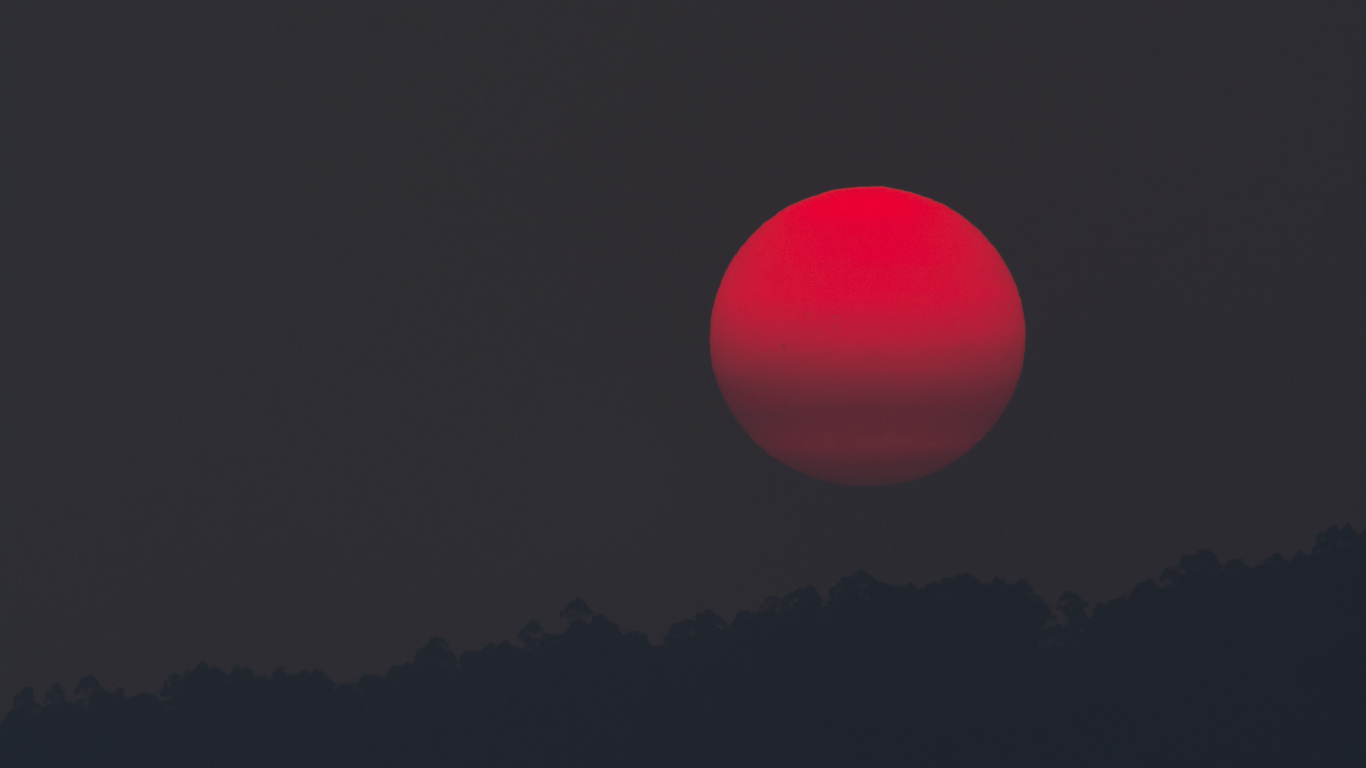 Boule Rose Sur Fond Noir. Wallpaper in 1366x768 Resolution