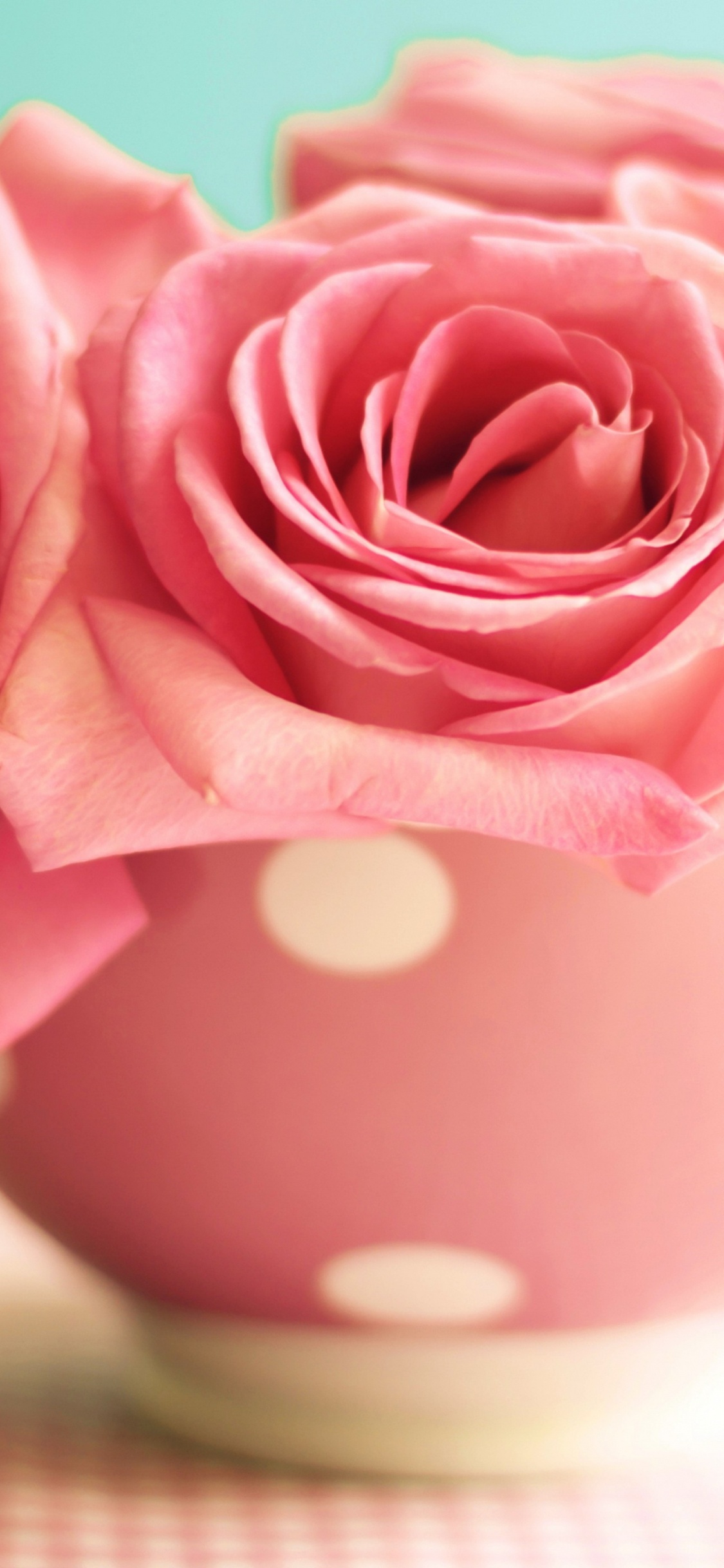 Rosa Rosa en Taza de Cerámica Rosa. Wallpaper in 1125x2436 Resolution