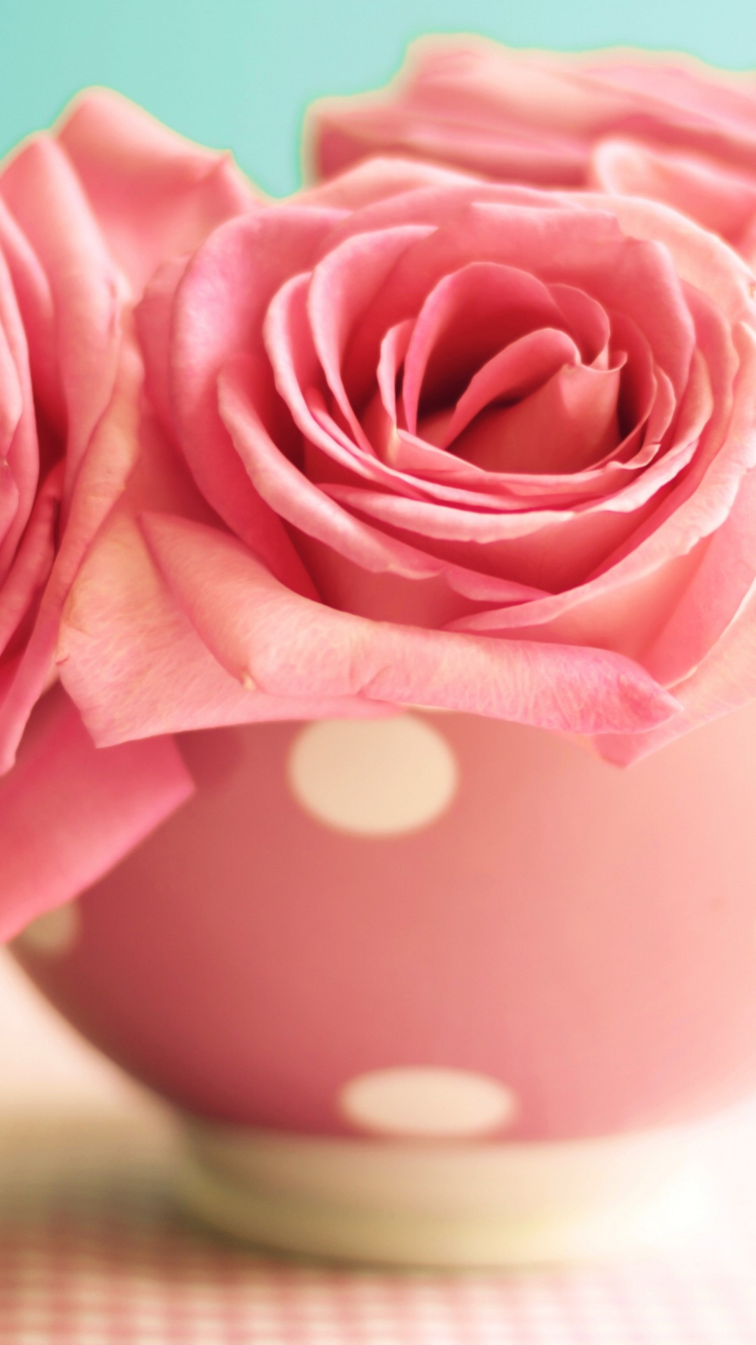 Rose Rose Dans Une Tasse en Céramique Rose. Wallpaper in 1080x1920 Resolution