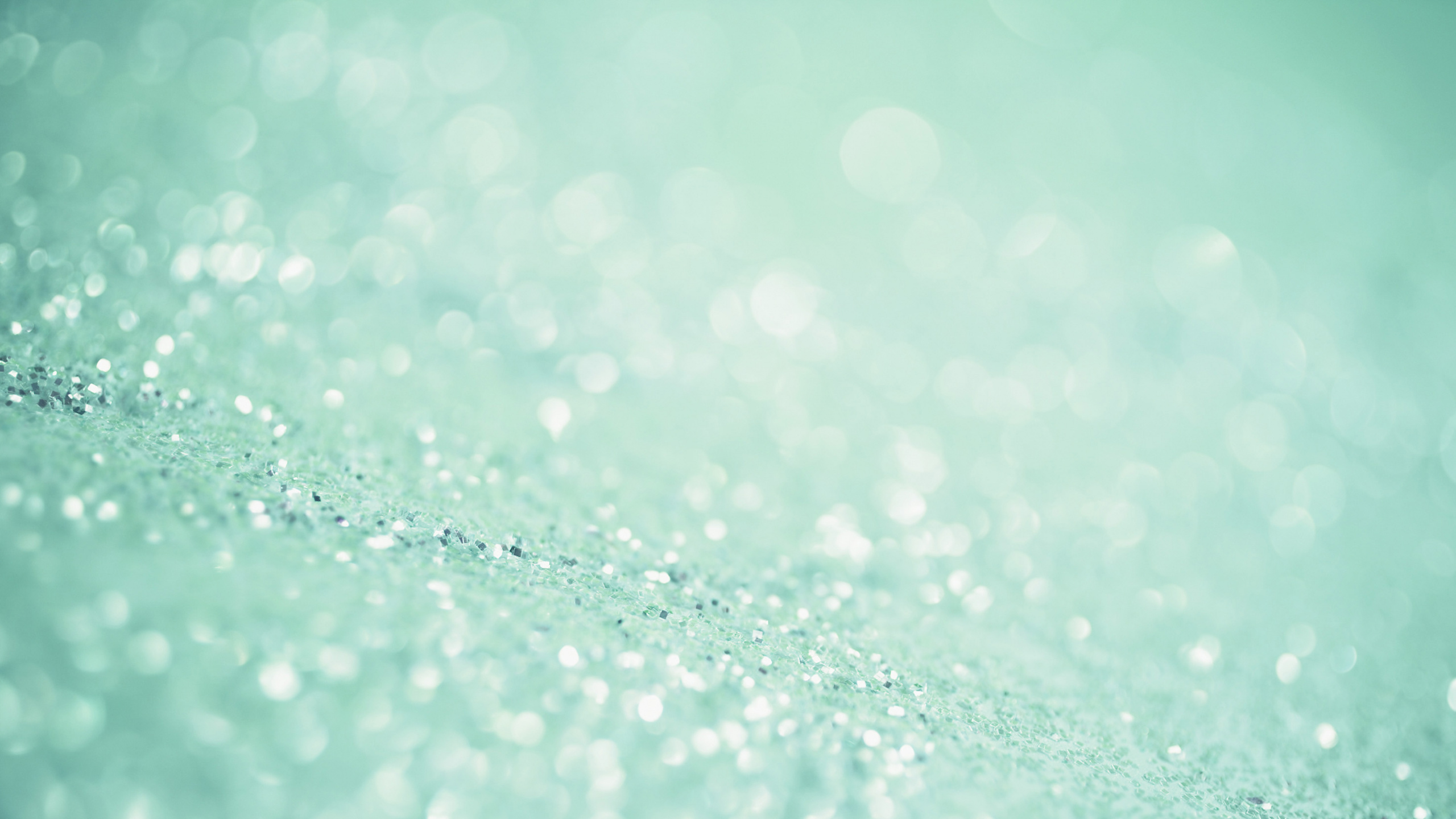 Water Droplets on Green Surface. Wallpaper in 2560x1440 Resolution