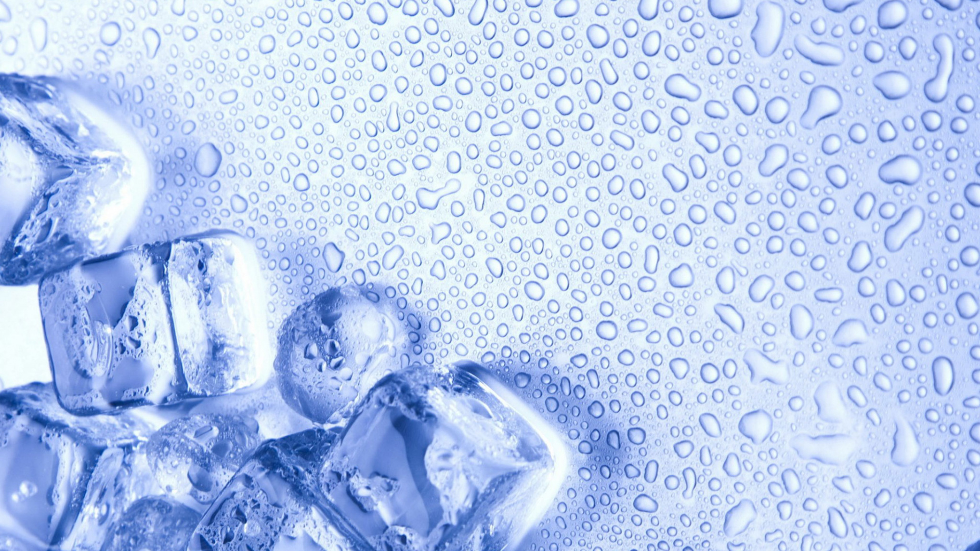 Recipiente de Vidrio Transparente Con Gotas de Agua. Wallpaper in 1920x1080 Resolution