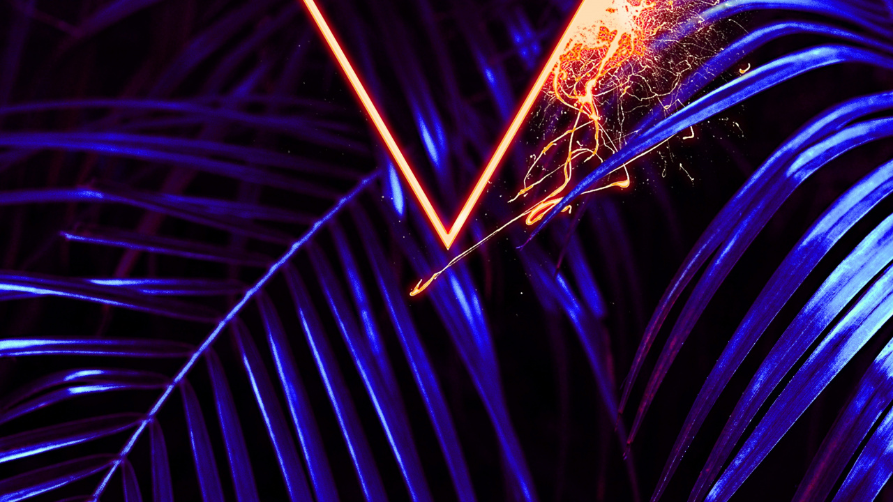 Light, Plant, Purple, Blue, Tree. Wallpaper in 1280x720 Resolution