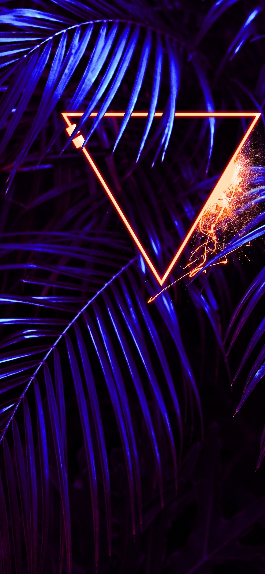 Luz, Morado, Azul, Planta Terrestre, Medianoche. Wallpaper in 1125x2436 Resolution