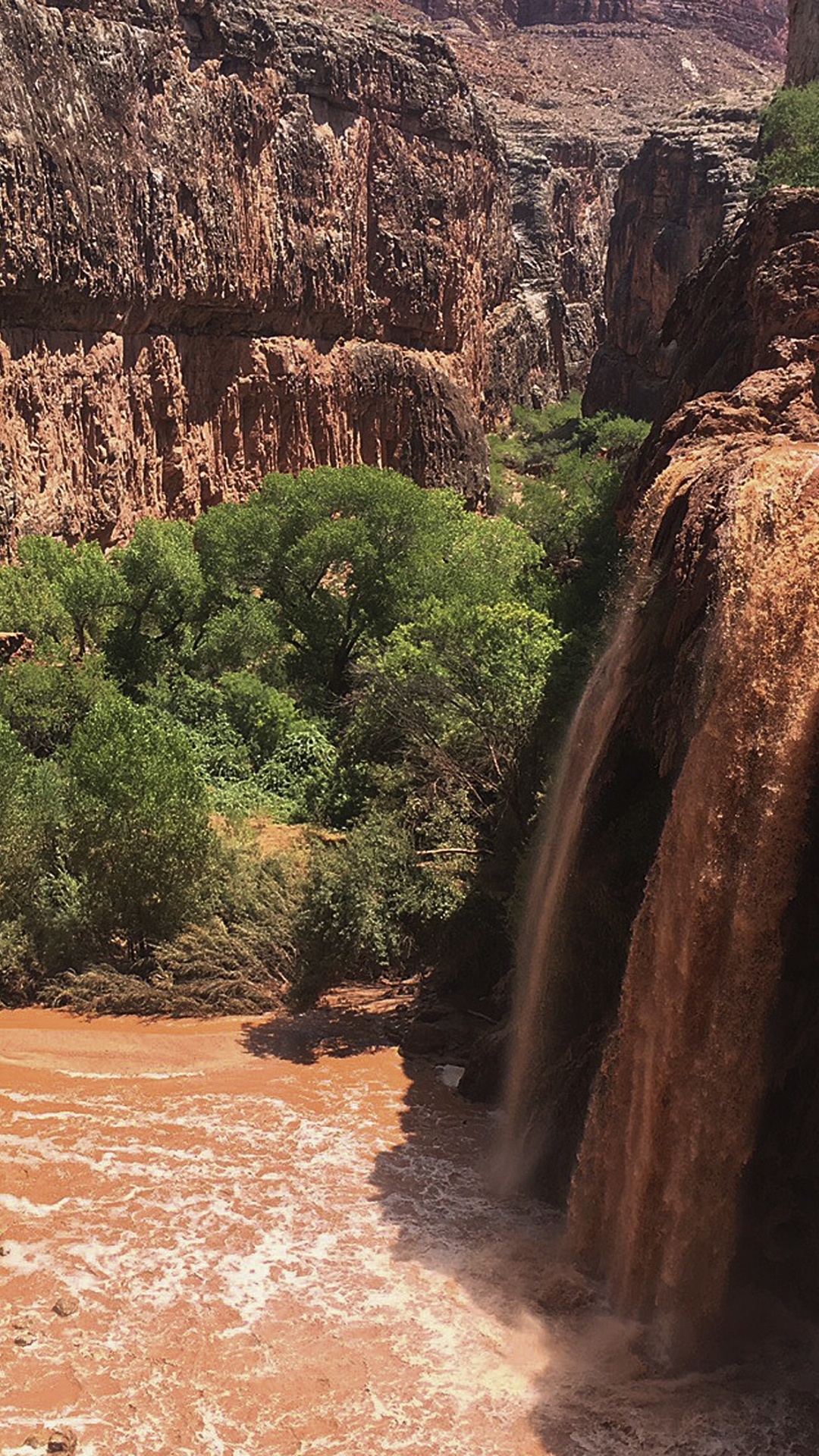 Montagne Rocheuse Brune Avec Des Arbres Verts. Wallpaper in 1080x1920 Resolution