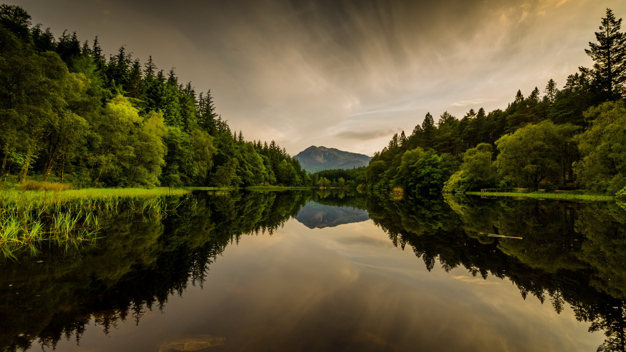 Green Trees Beside Lake Under Cloudy Sky During Daytime. Wallpaper in 1280x720 Resolution