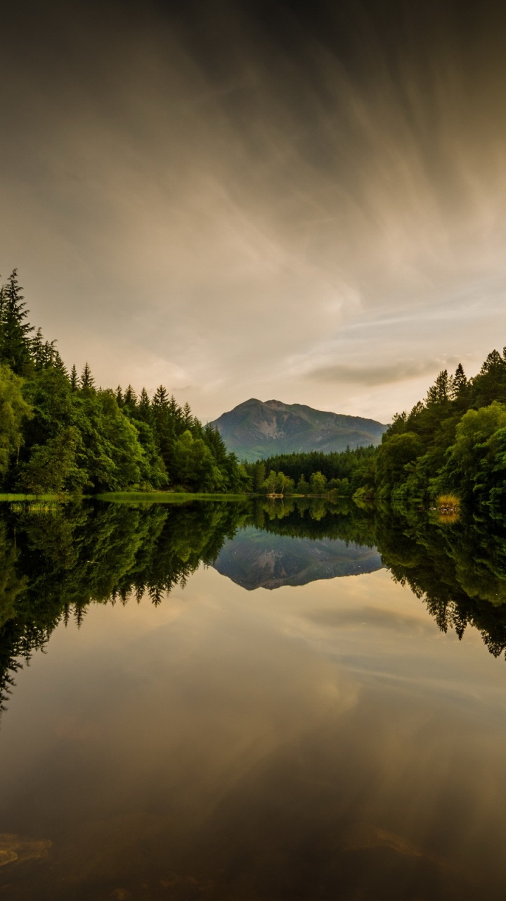 Green Trees Beside Lake Under Cloudy Sky During Daytime. Wallpaper in 720x1280 Resolution