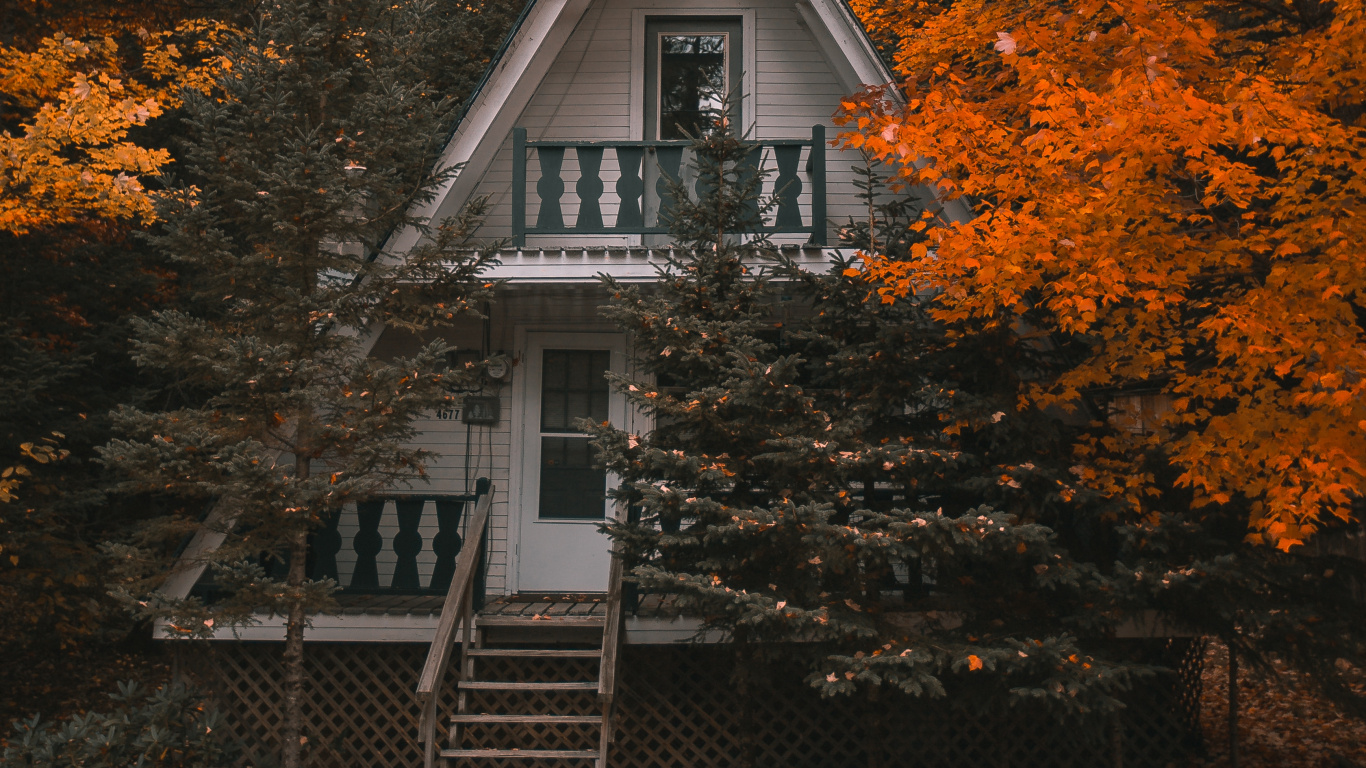 Leaf, Woody Plant, Hard Disk Drive, Solid State Drive, Hard Drives. Wallpaper in 1366x768 Resolution