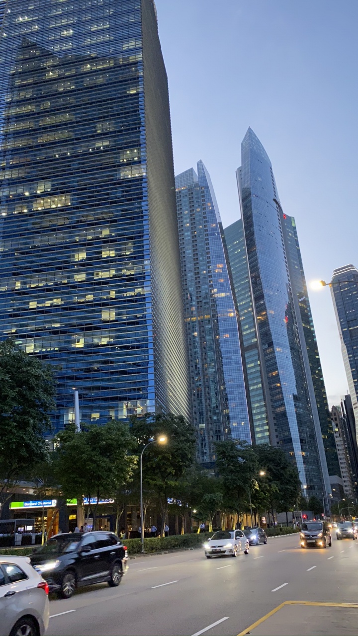 Singapore, Tower Block, Urban Area, City, Metropolis. Wallpaper in 720x1280 Resolution