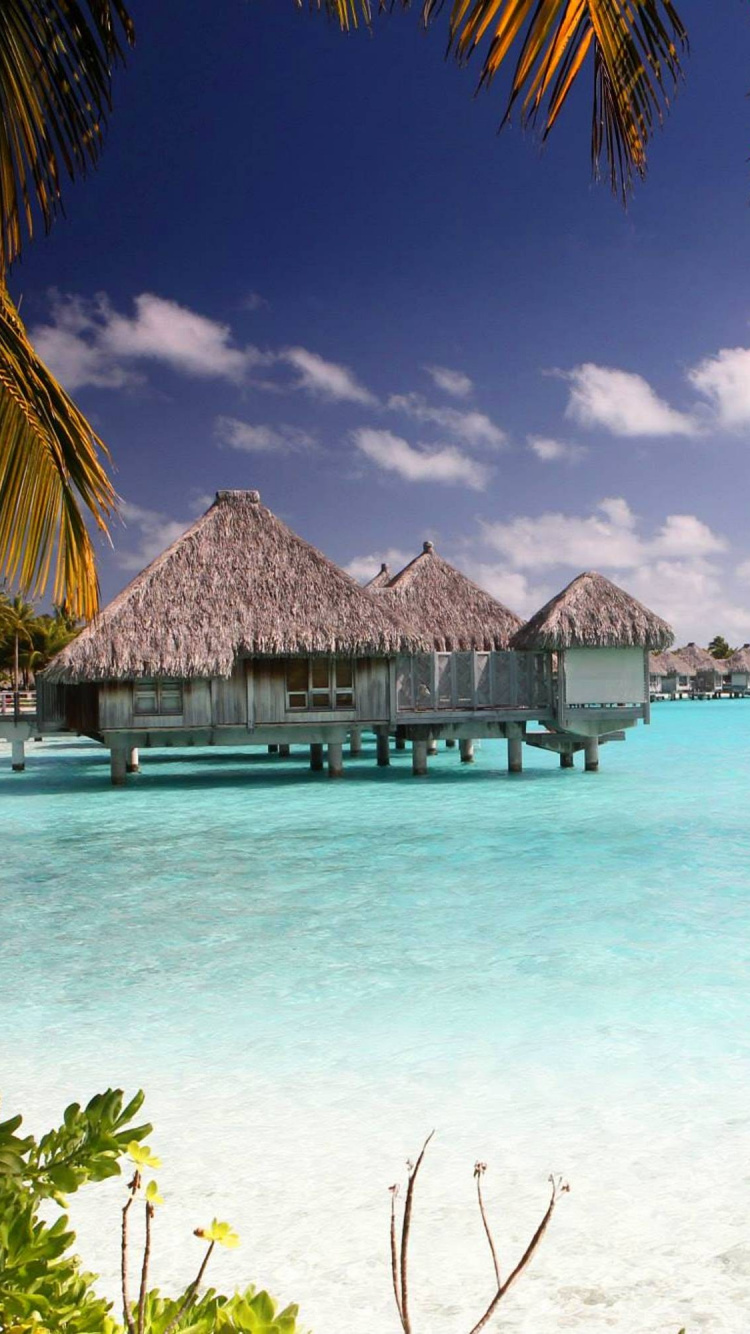 Brown Wooden House on Body of Water During Daytime. Wallpaper in 750x1334 Resolution