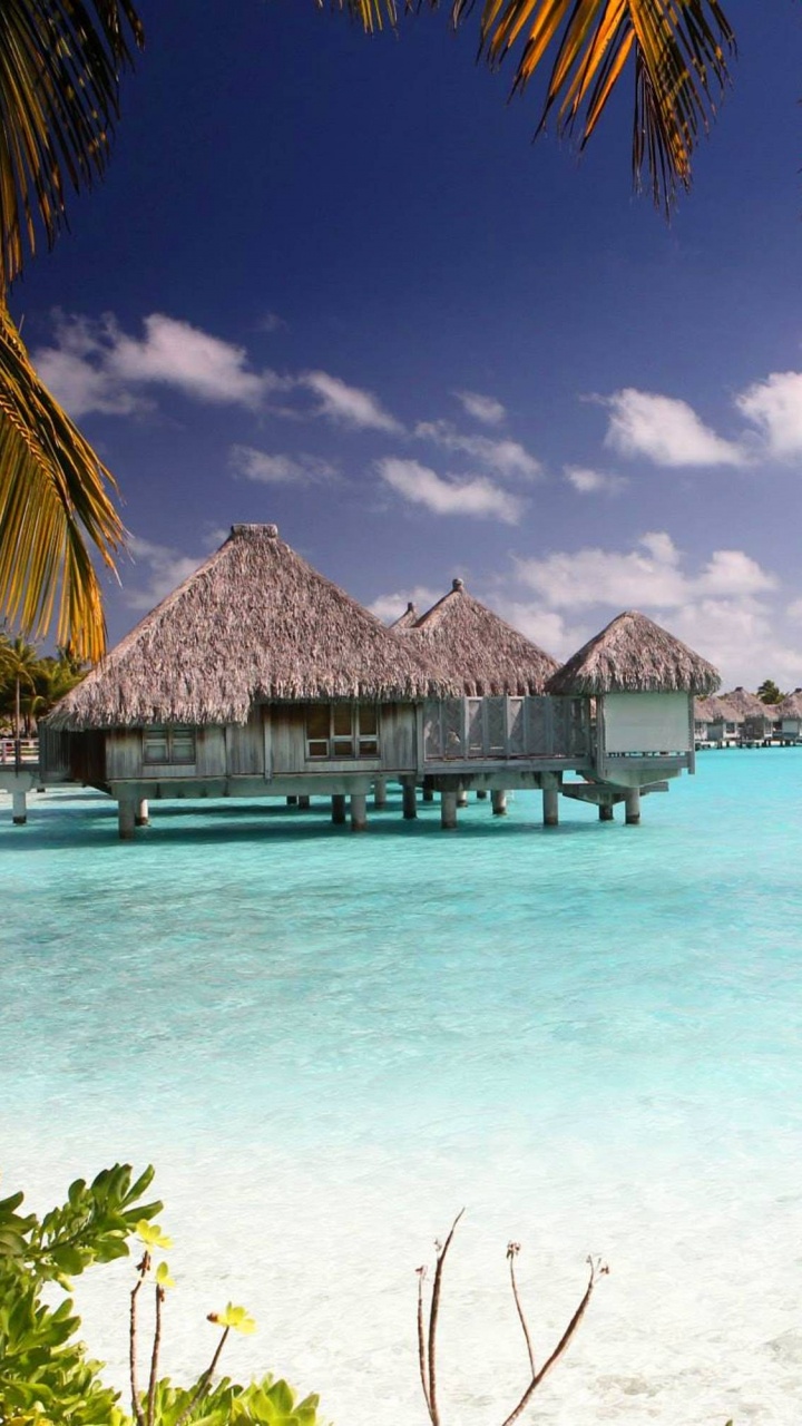 Maison en Bois Brune Sur le Plan D'eau Pendant la Journée. Wallpaper in 720x1280 Resolution