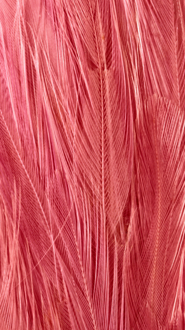 Rotes Textil in Nahaufnahme. Wallpaper in 750x1334 Resolution